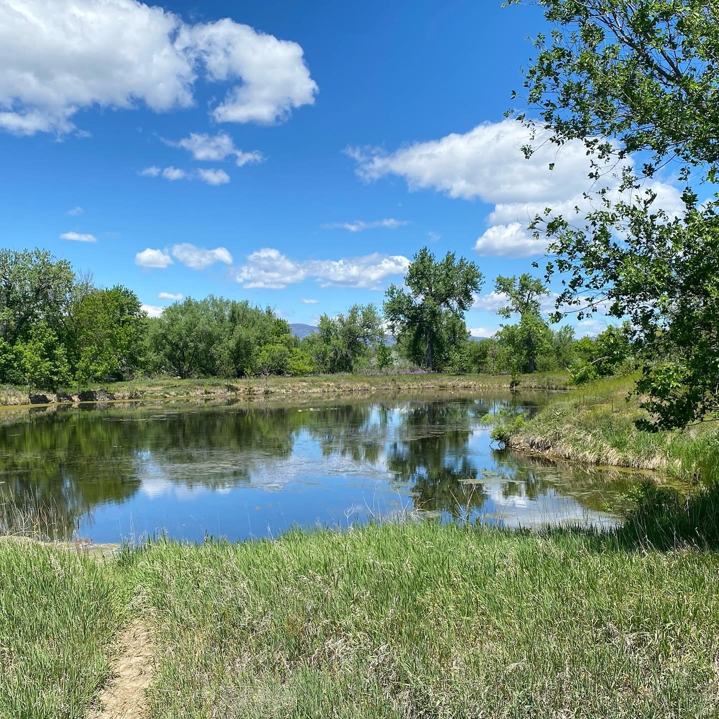 tuesday in #boulder #colorado