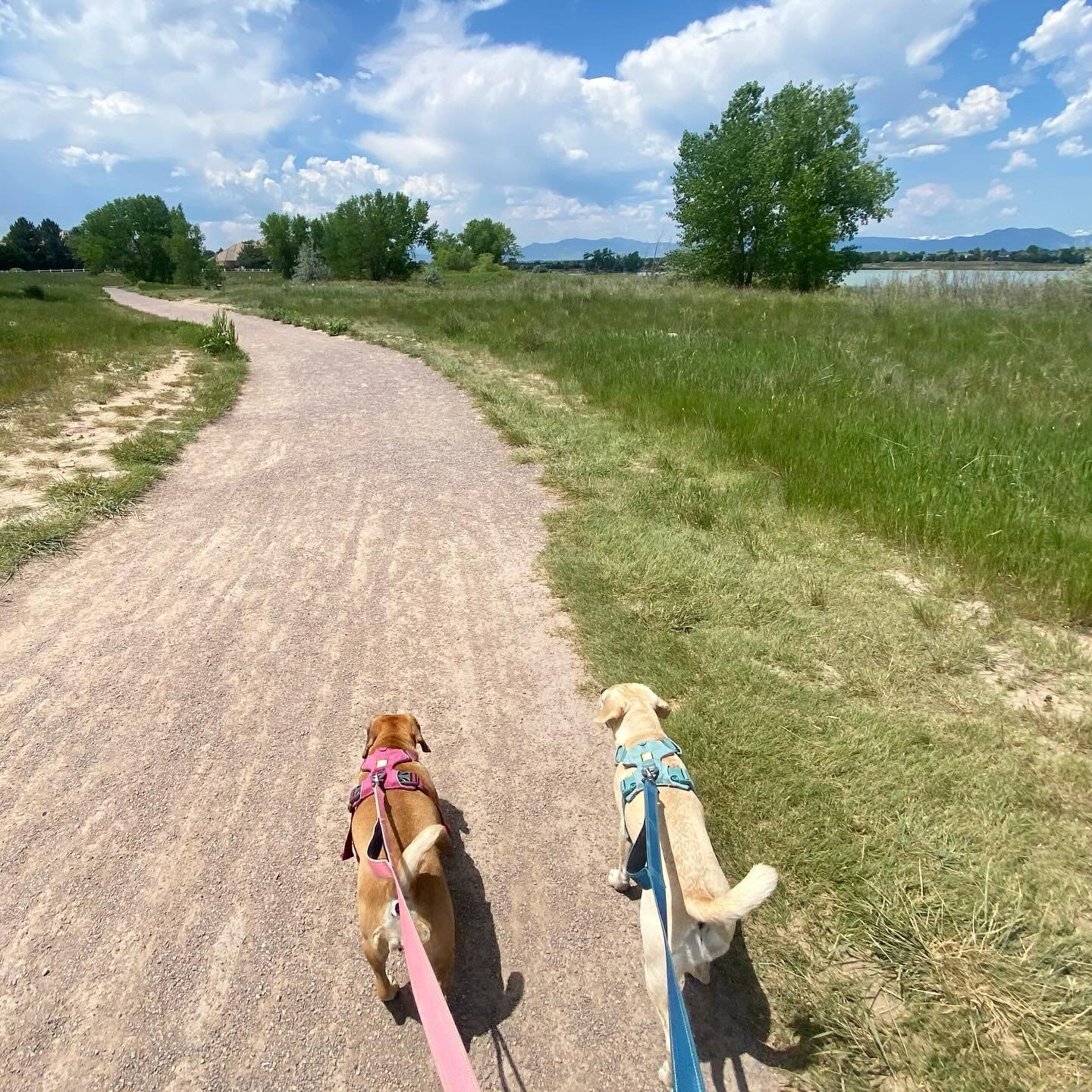 friday at mckkay lake in #westminster #colorado
