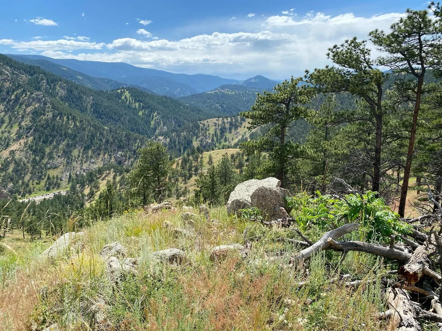stroll around anemone loop #boulder #colorado 🐾🐾⛰️😎