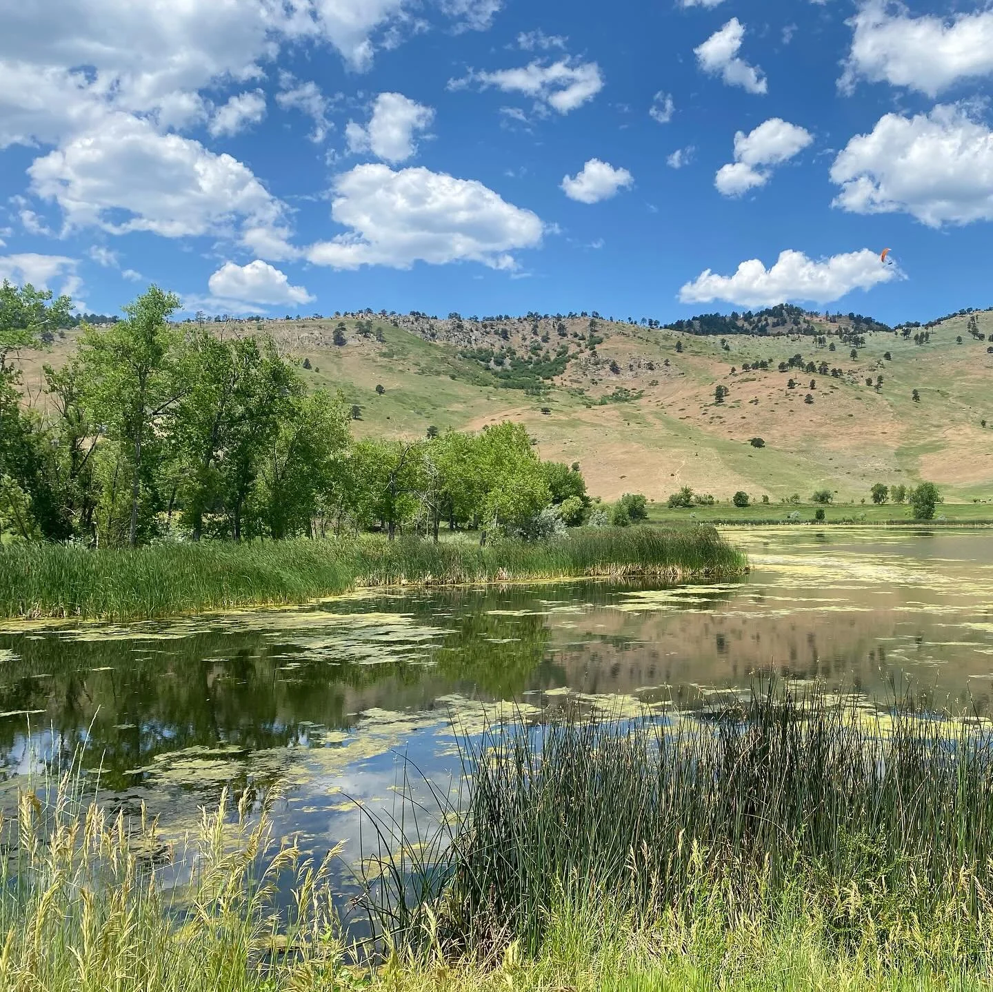 friday in #boulder #colorado