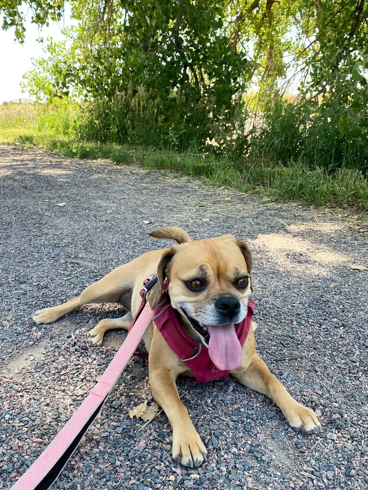 i&rsquo;m on break 😅🙃