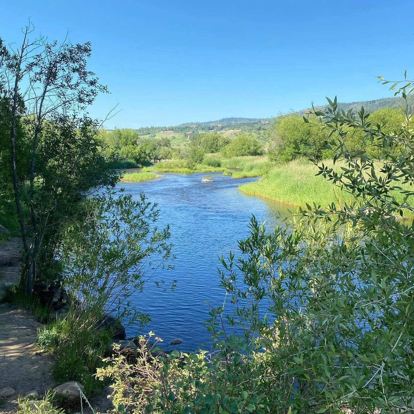 saturday morning on the yampa #steamboatsprings #colorado