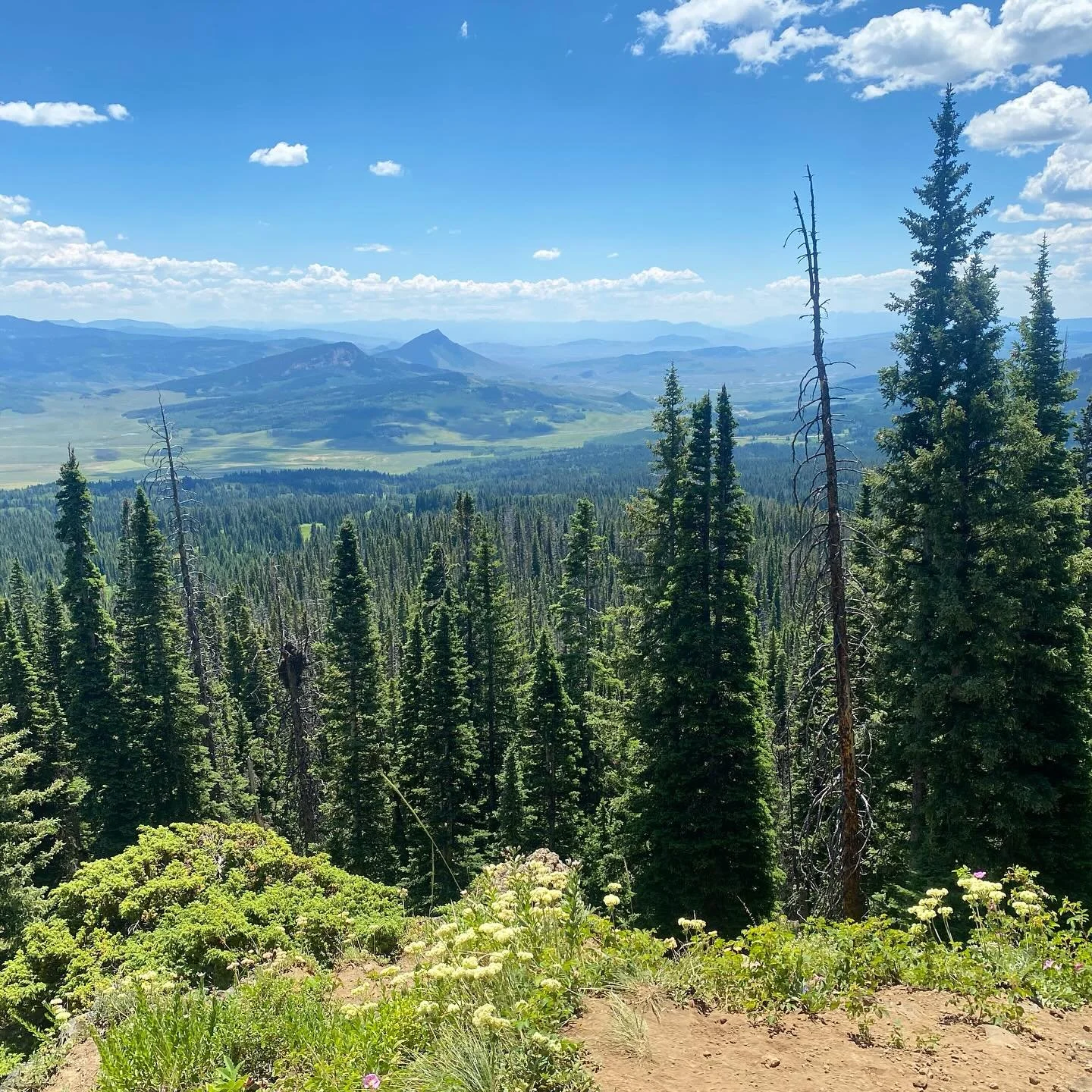 sunday at rabbit ears 🐇🐰 with the dogs 🐕 🐾🐾