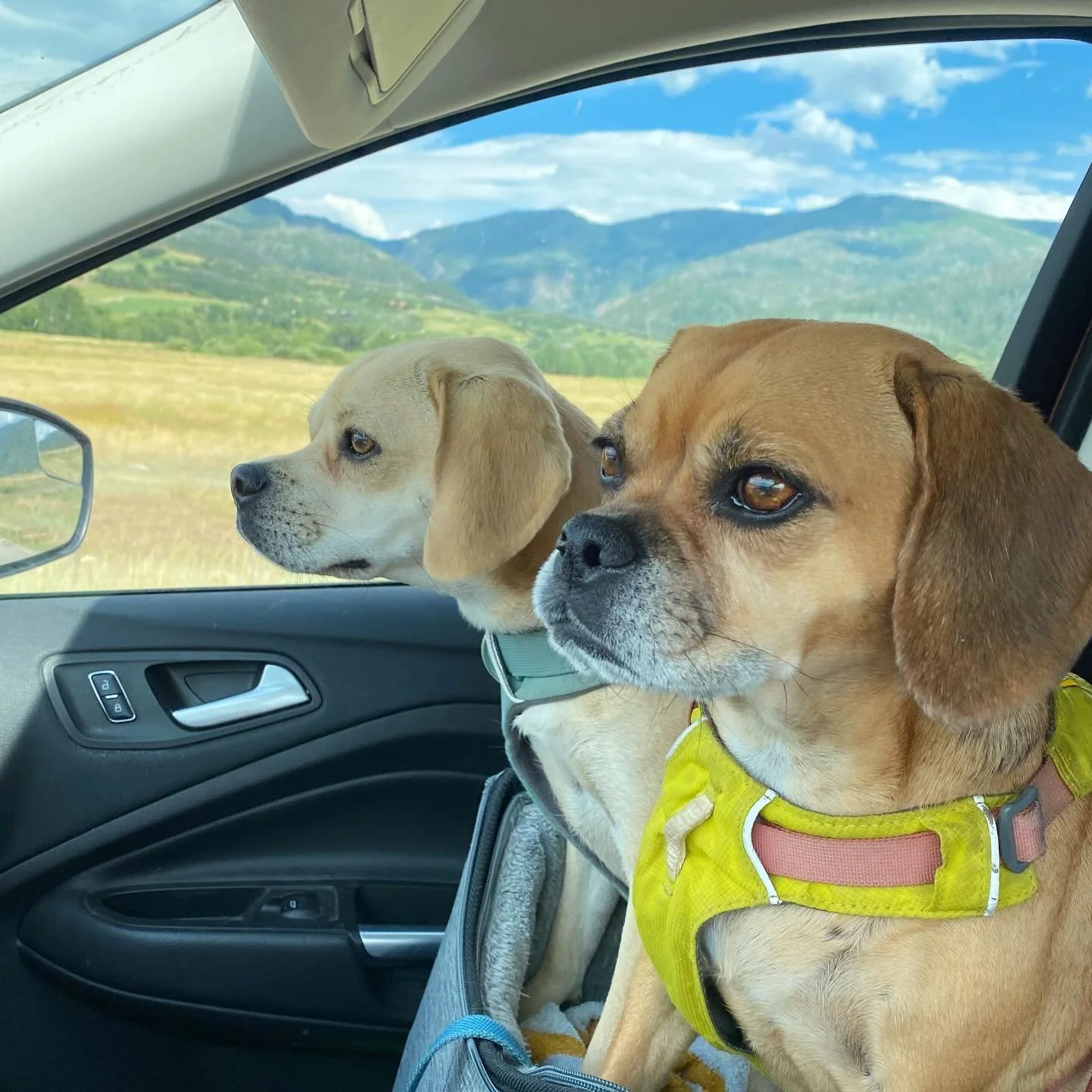 doubling up in the jump seat as we roll into steamboat
