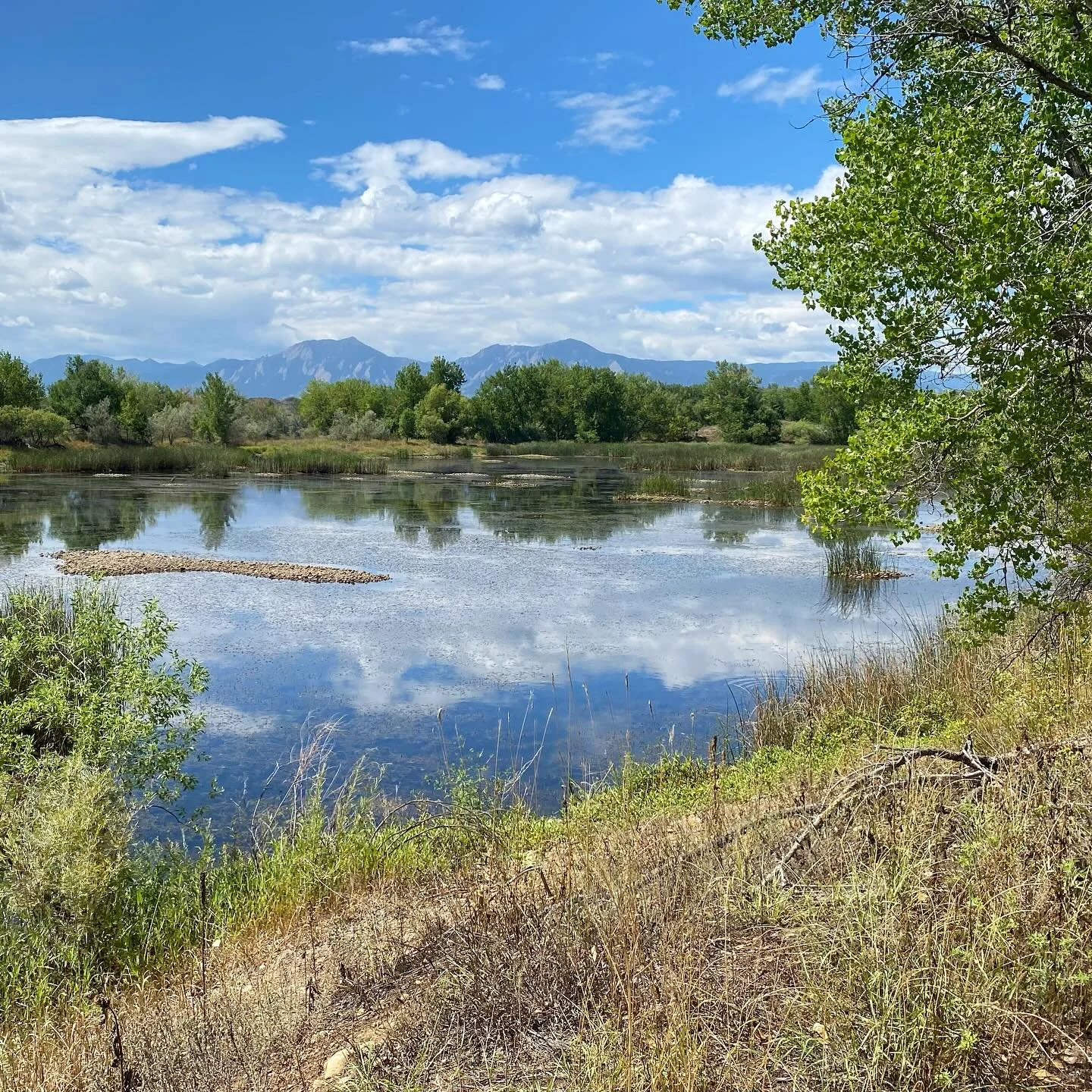 wednesday in boulder #colorado