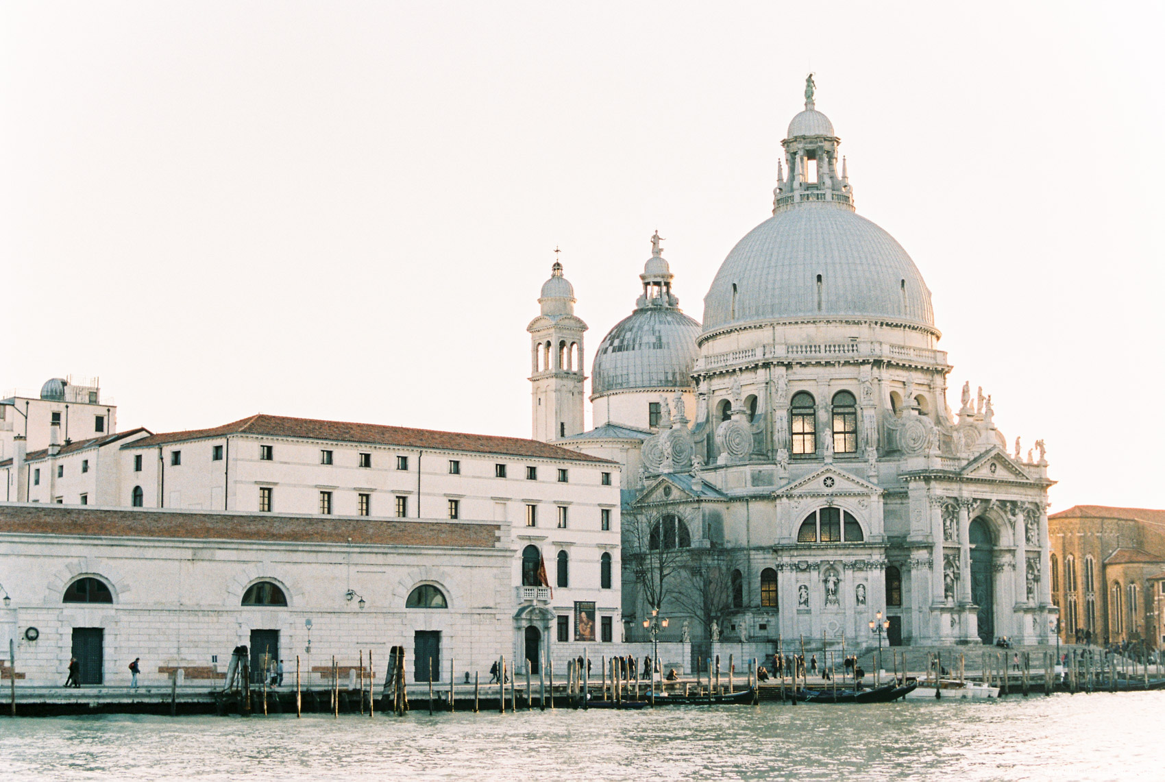 Venice by Michelle Lange Photography-12.jpg