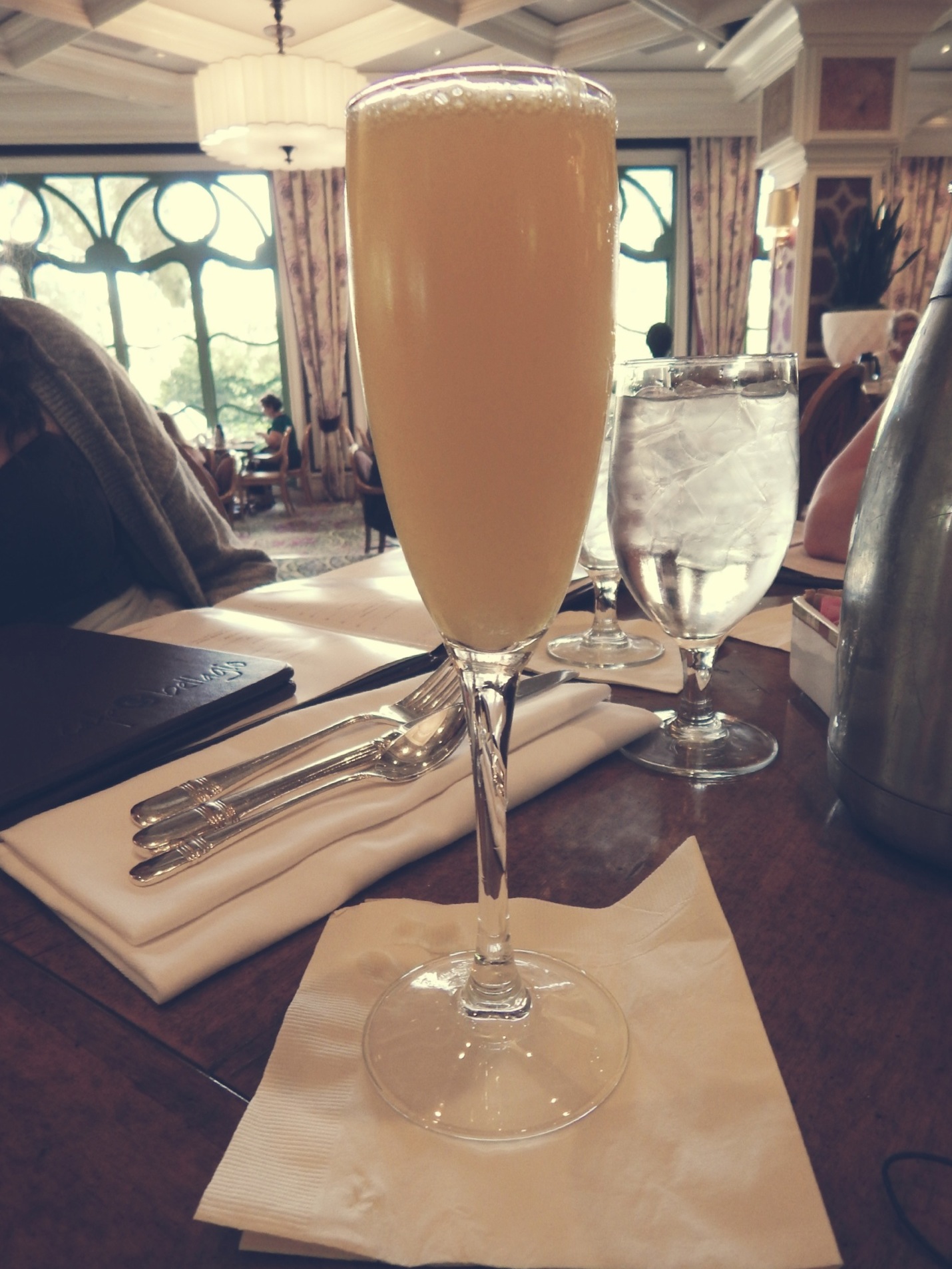 A mimosa at The Bellagio Gardens, Las Vegas.