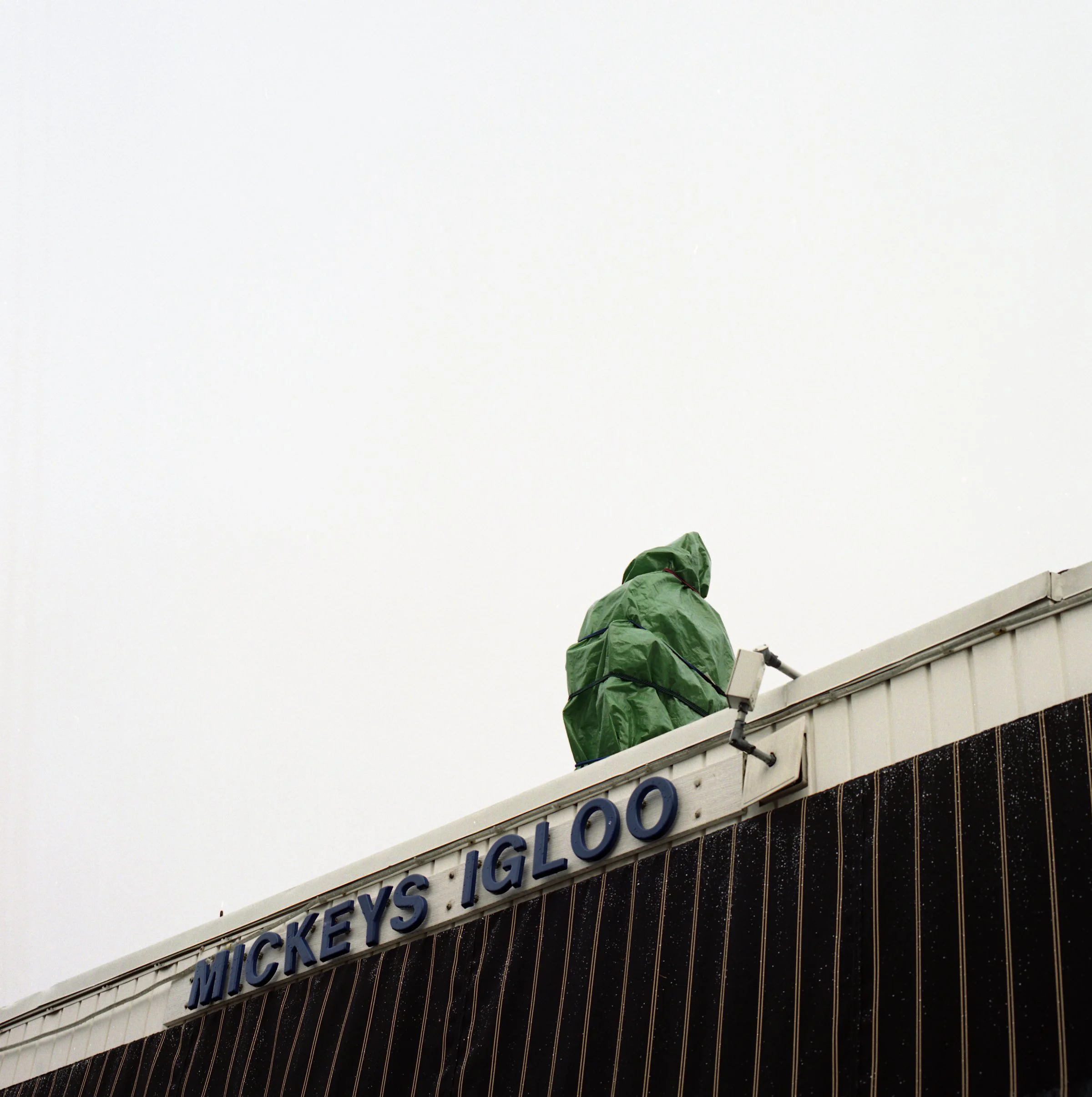 Mickeys Igloo.jpg