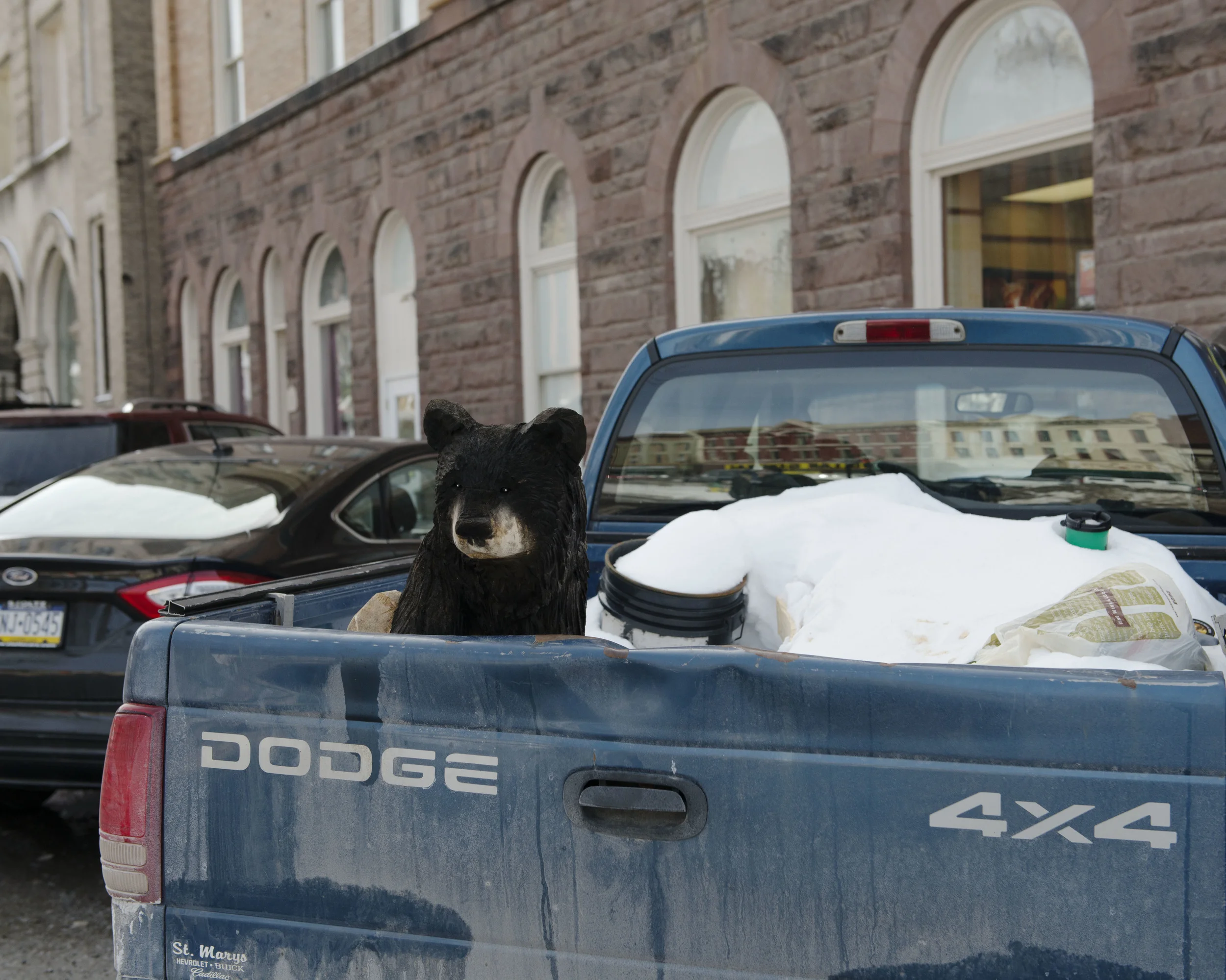 Bear in Truck.jpg