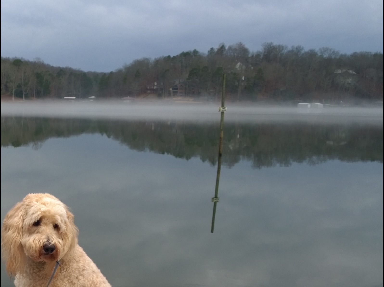 Kramer at the Lake.jpg