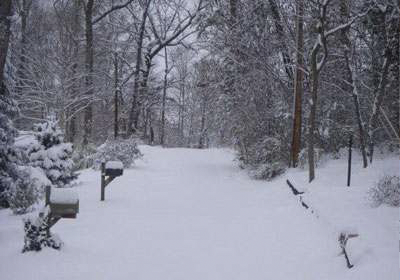 snow on road.png