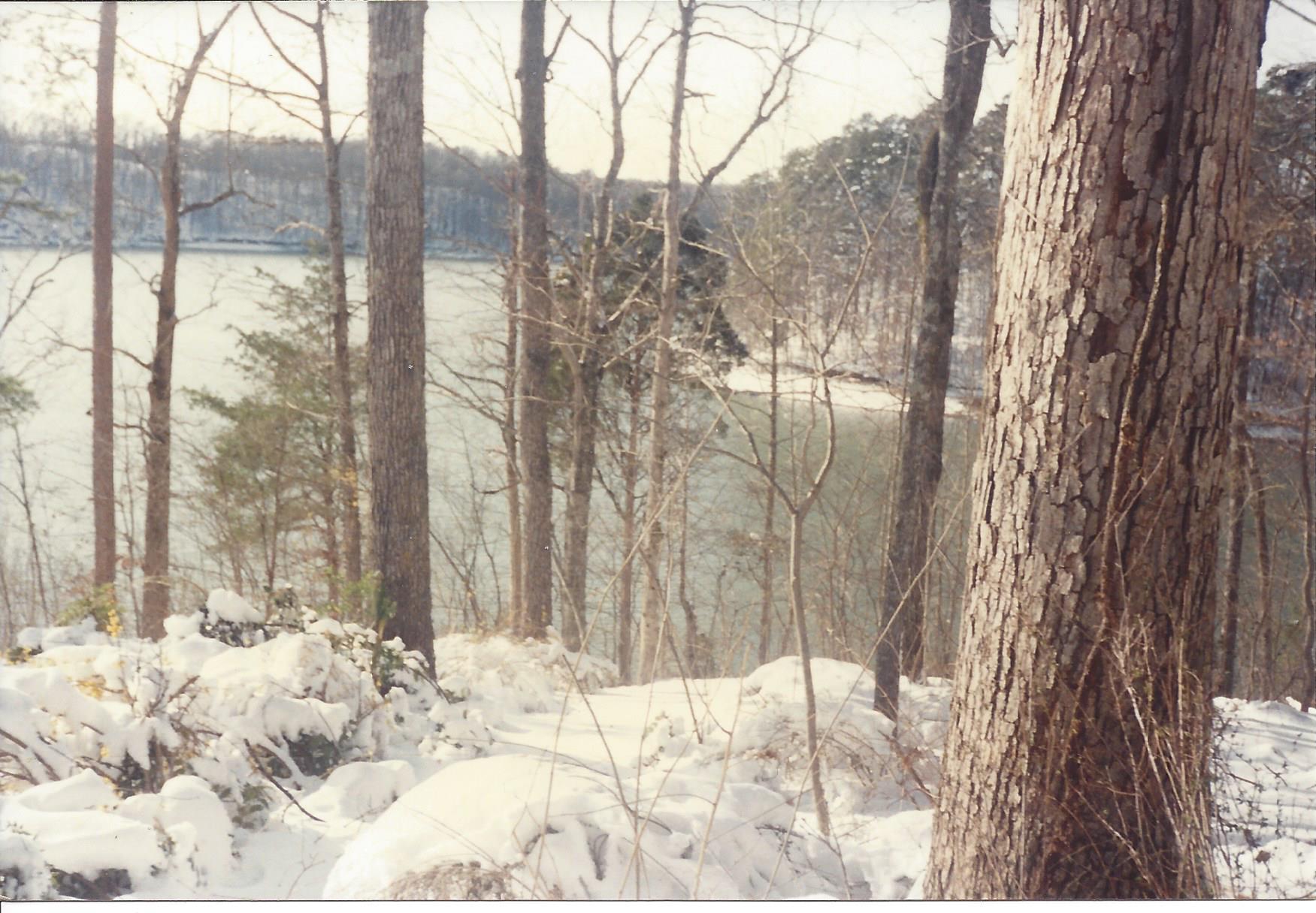 Winter3 1993.jpg