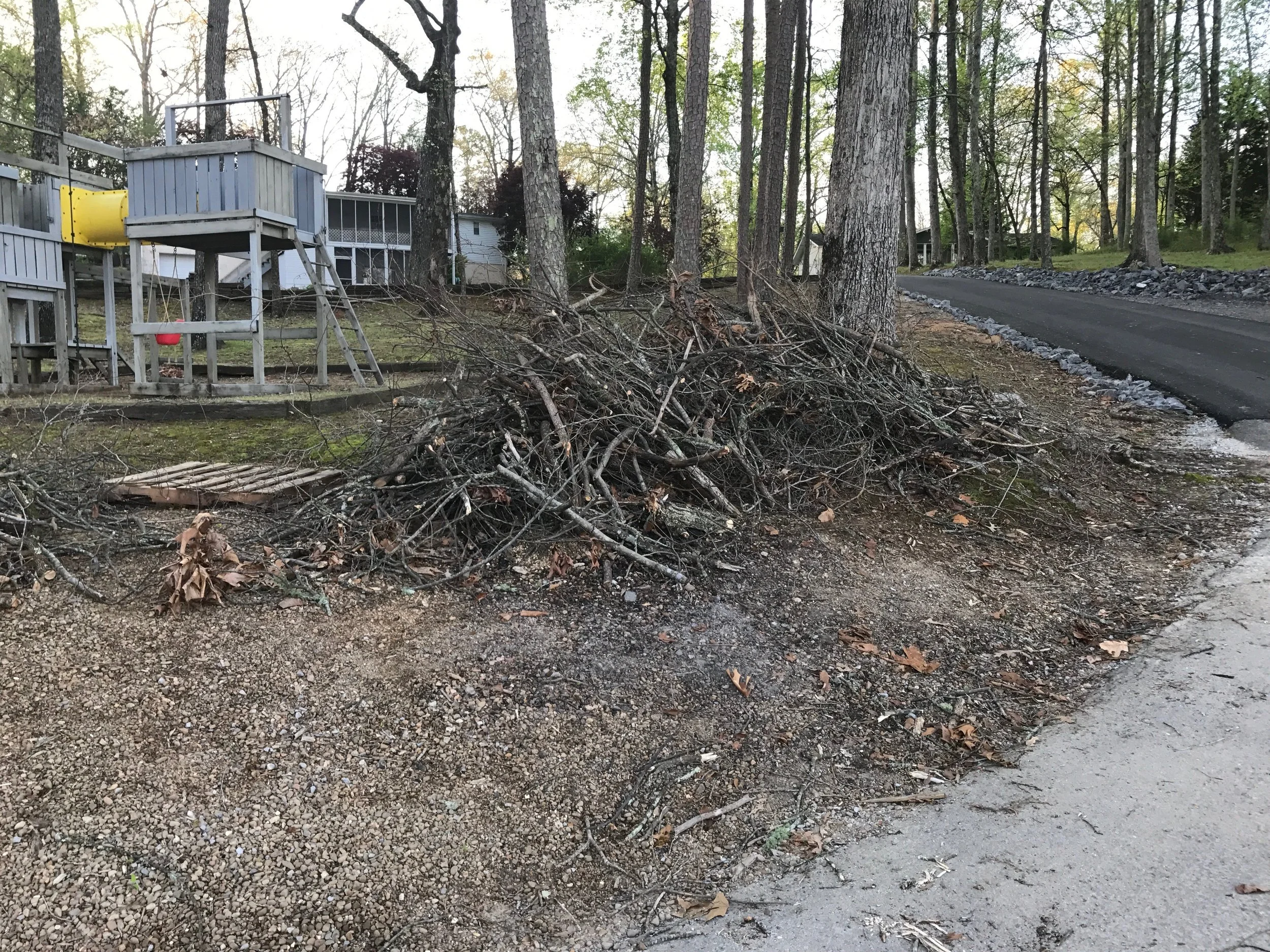 brush pile.jpg
