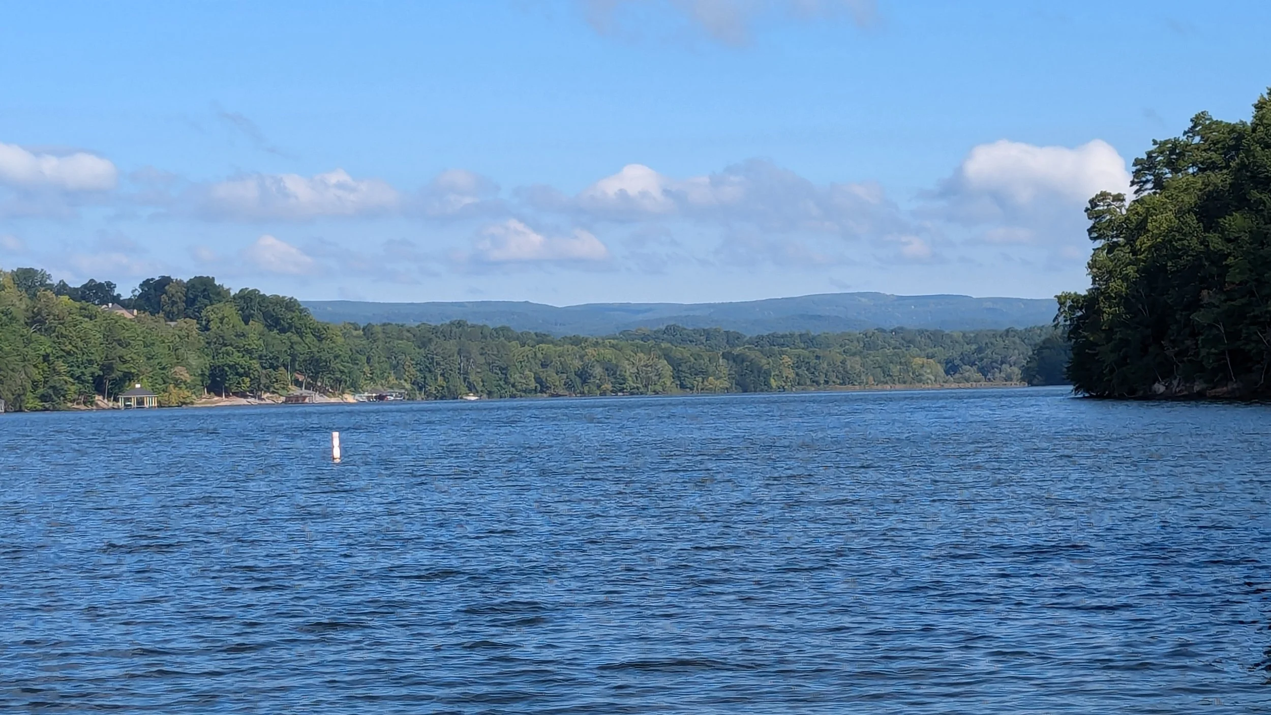 PXL_20240902_143217737.MP.jpg