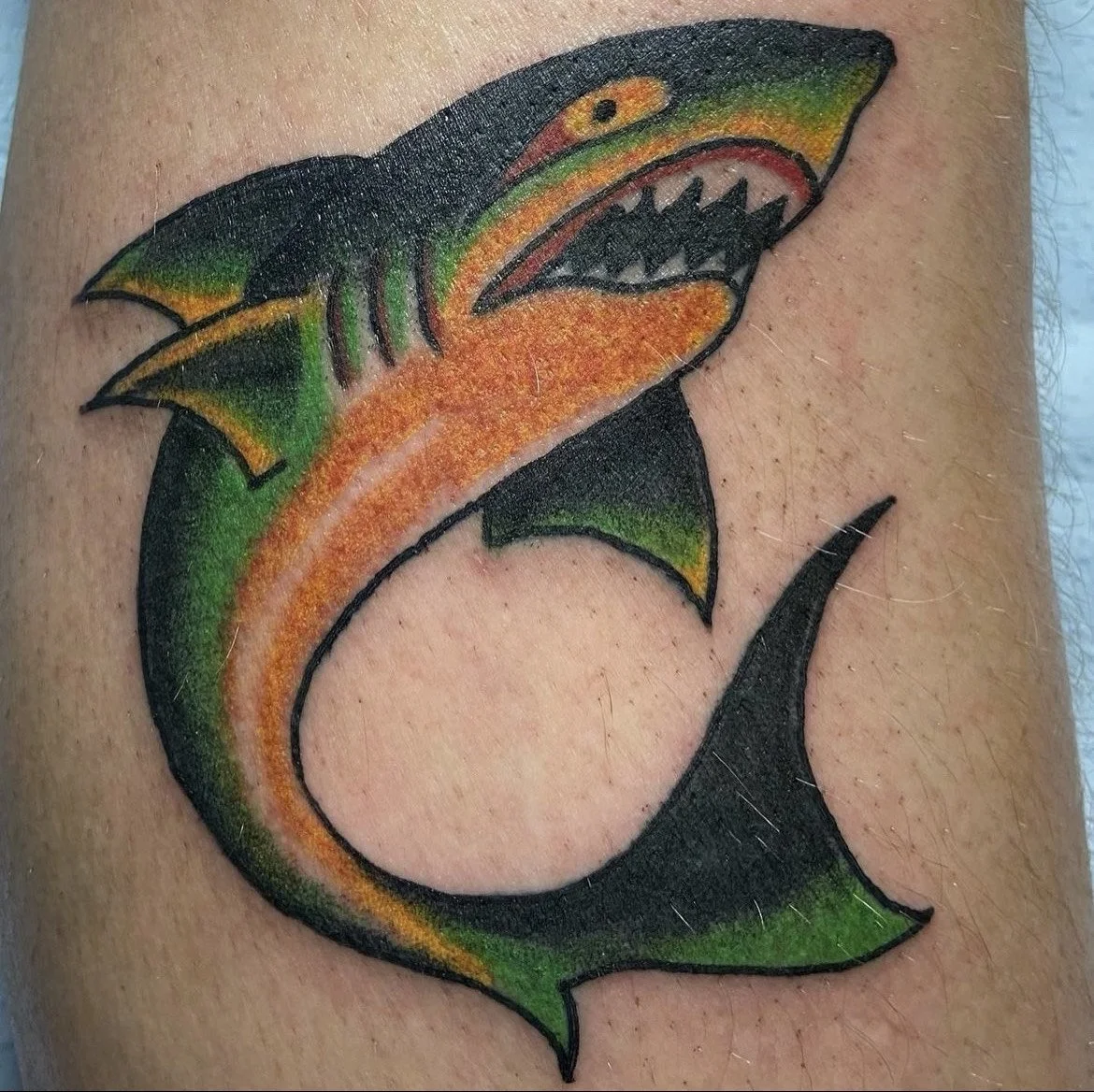 image_6487327 (8).JPG