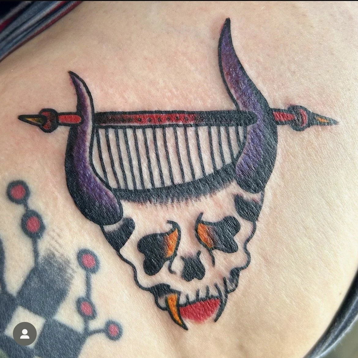 image_6487327 (6).JPG