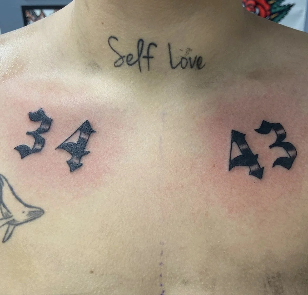 image_6487327 (5).JPG