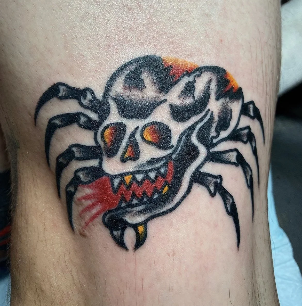 image_6487327 (4).JPG