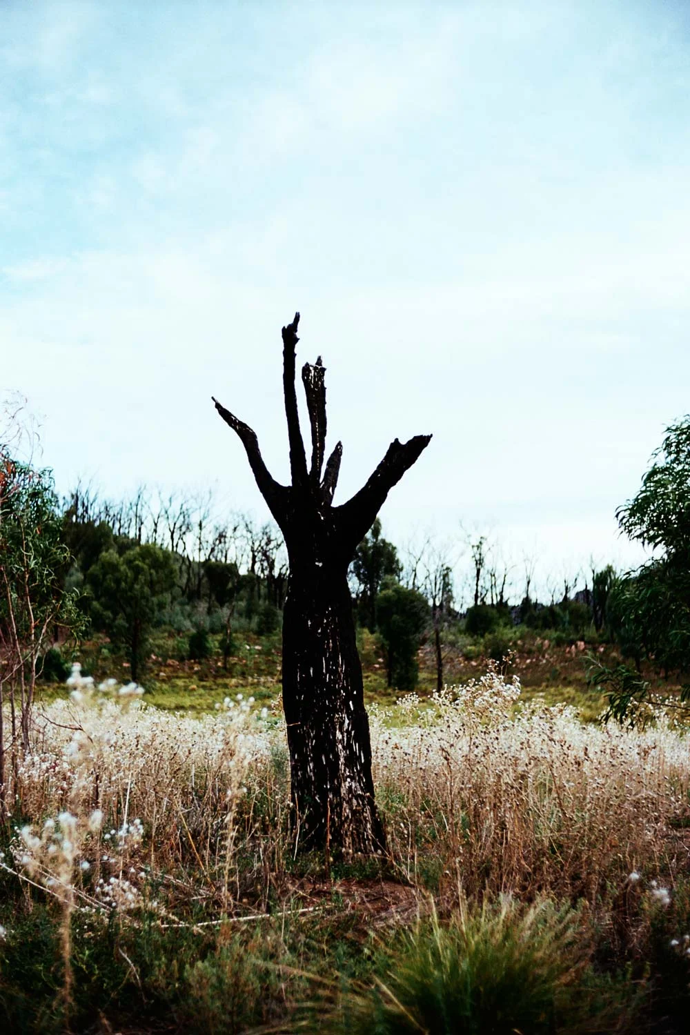 AAA029A.jpg