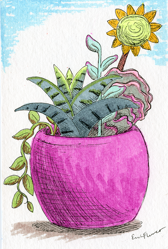 2018 - Succulents.png