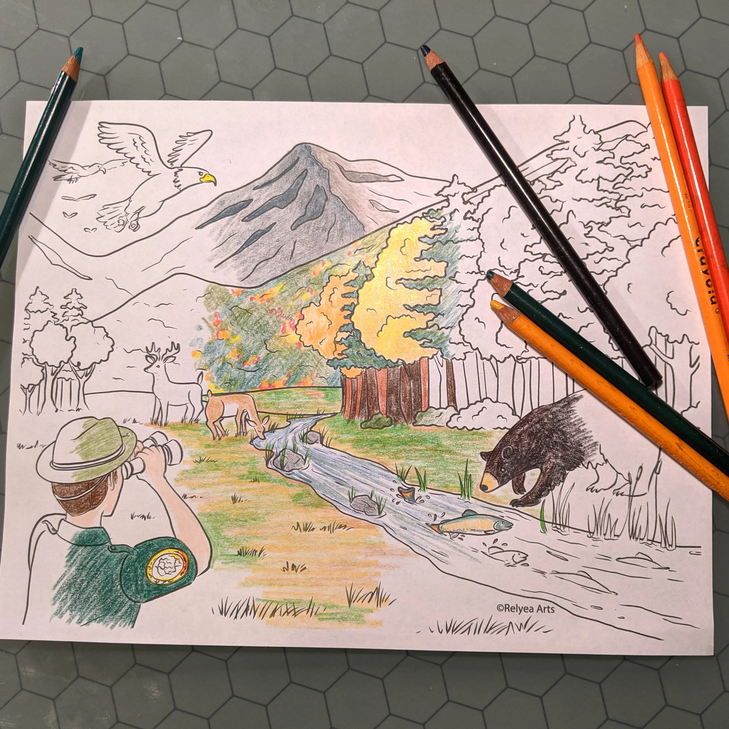 NH Fish and Game Colored.jpg