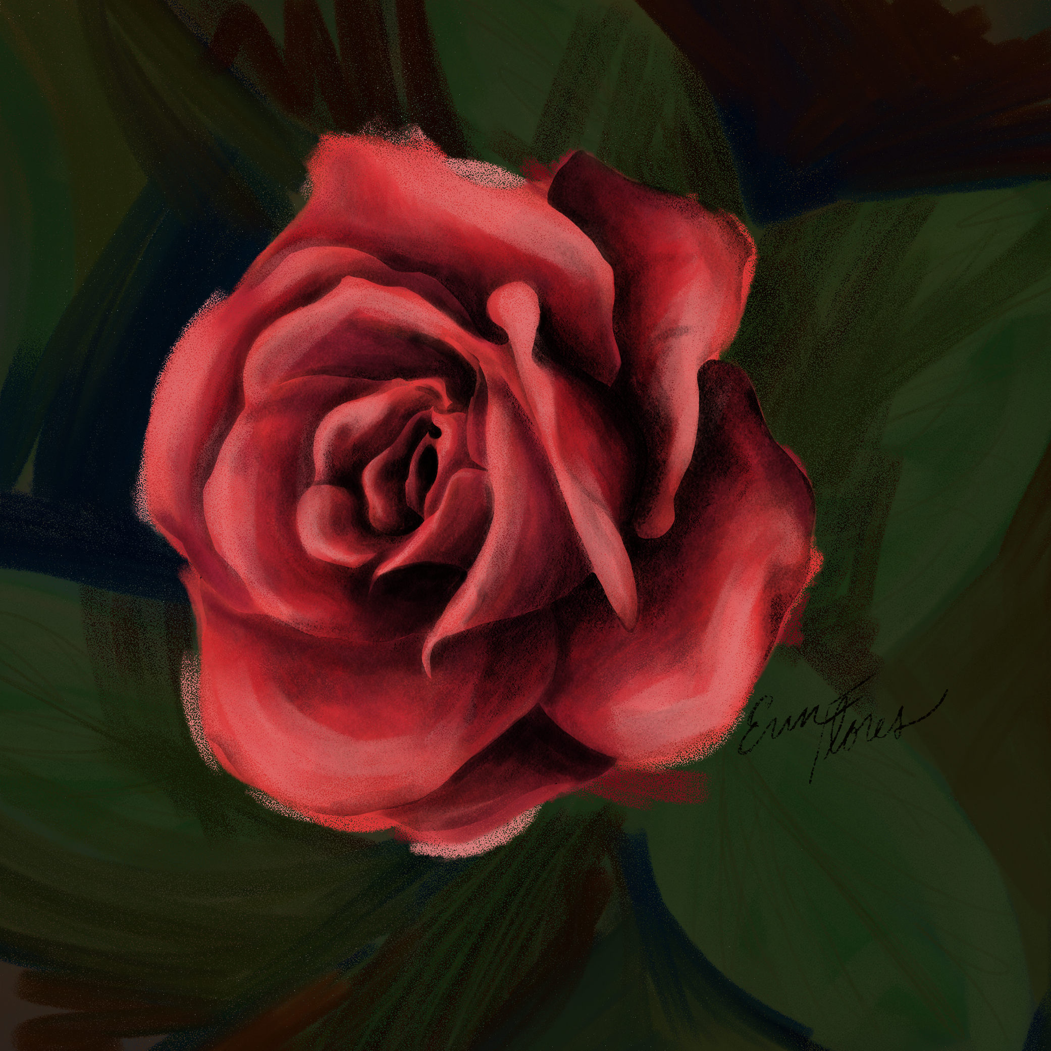 2020-06 Rose Sketch.png