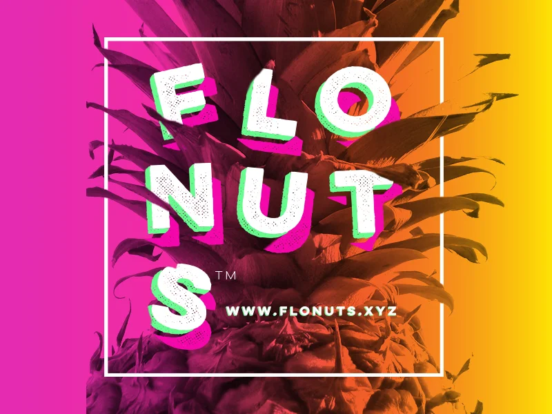 Flonuts_Shareables_1_Dribbble.jpg