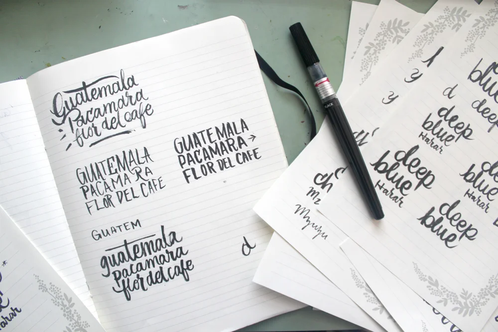 SketchbookArray-1.jpg