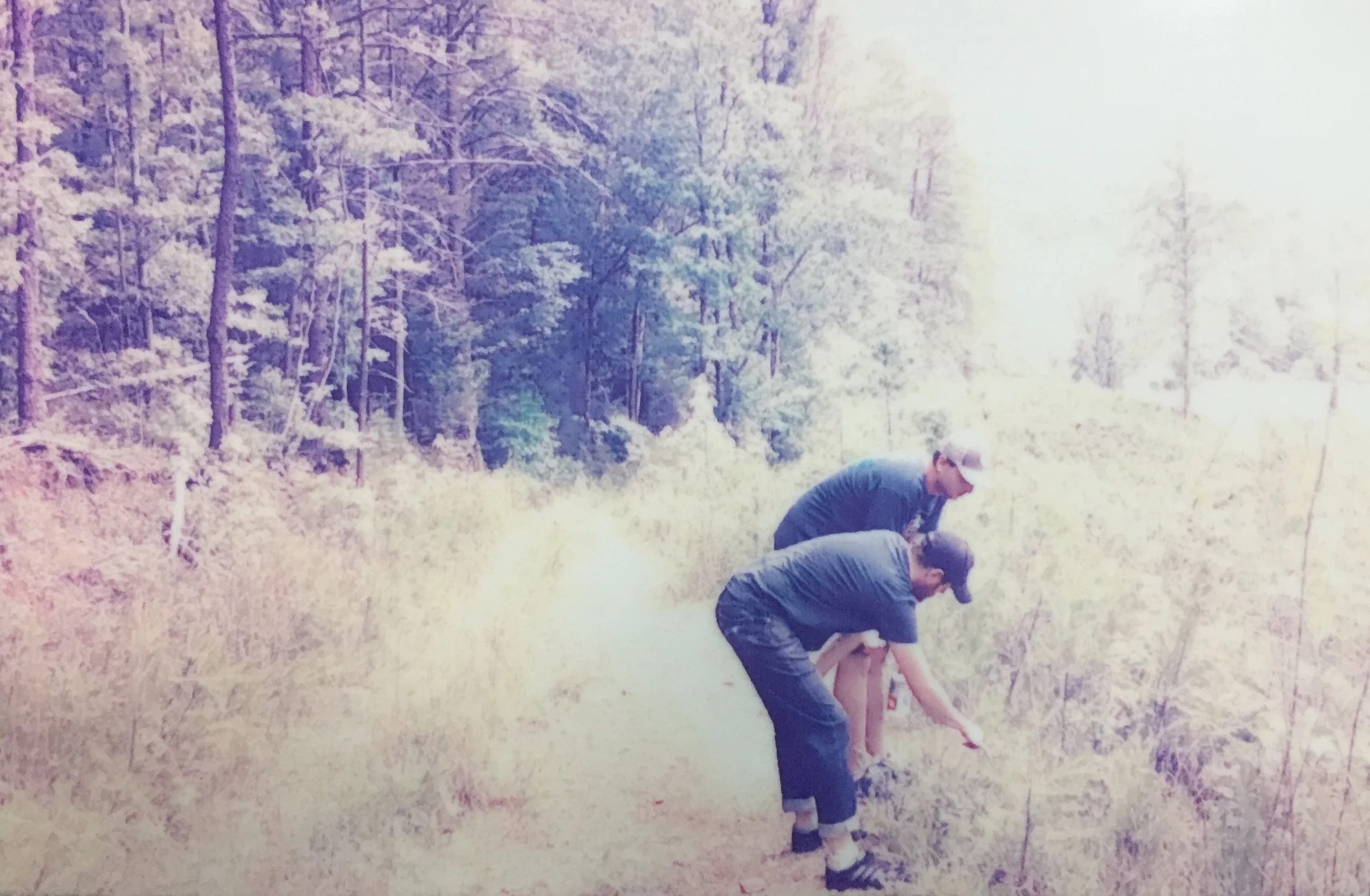 "Look at this nature right here" "Yeah man that's some nature for sure" at the Brenton MacKaye Trail.