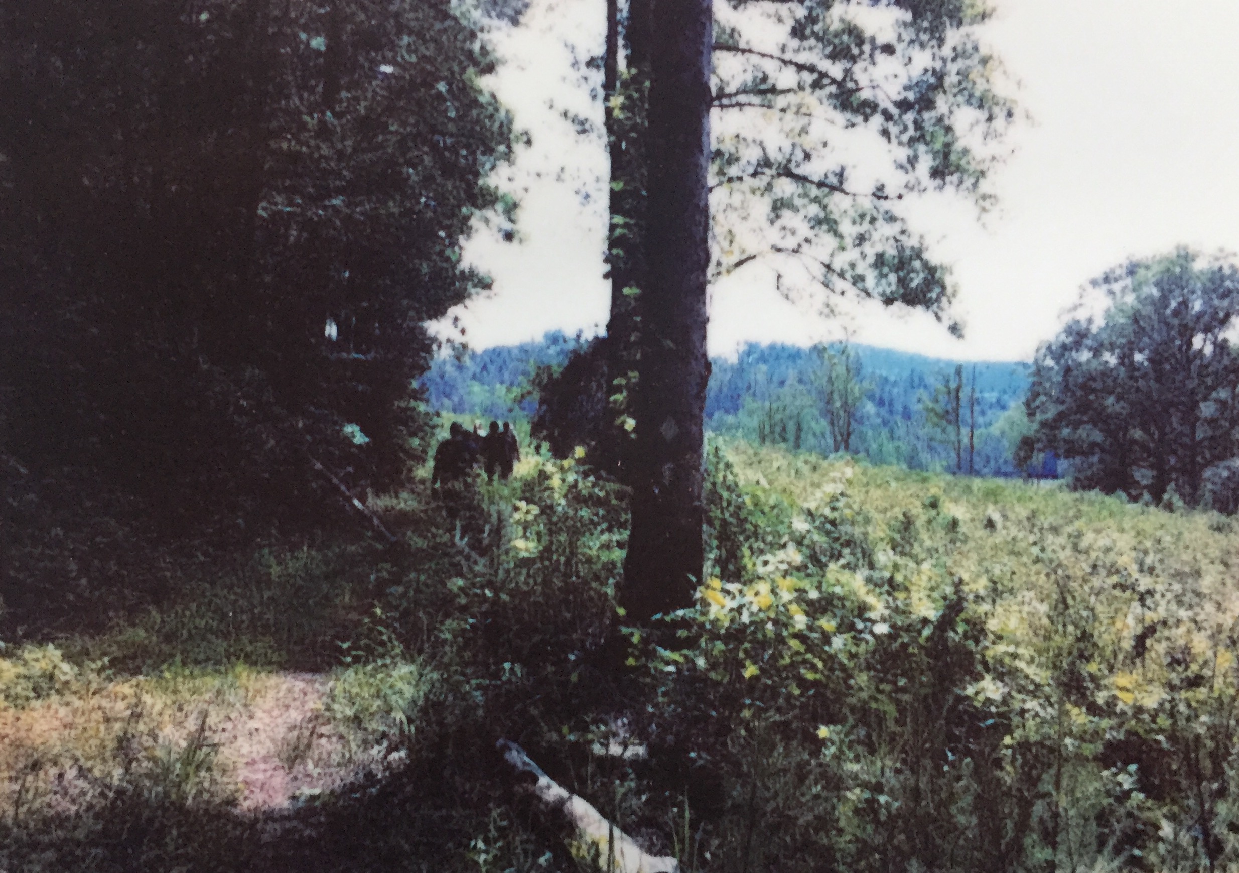 Taken with my Polaroid Snap .