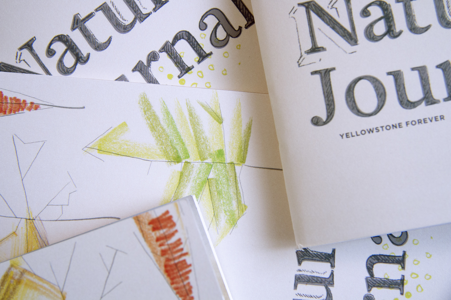 The Yellowstone Forever Institute asked us to help develop a Nature Journal that they could use outdoors to engage their students. We developed a fun, sketchy, illustrative style to make the material approachable. I love seeing how these evolve with each person who uses them! Our goal was to make the illustrations especially feel like the start to which people add their own drawings. Combined with clean page layouts and plenty of white space for notes and explorations, everyone involved was super pleased with the final product. Creative direction by Maria Bisso. Yellowstone Forever is the official nonprofit partner of Yellowstone National Park.