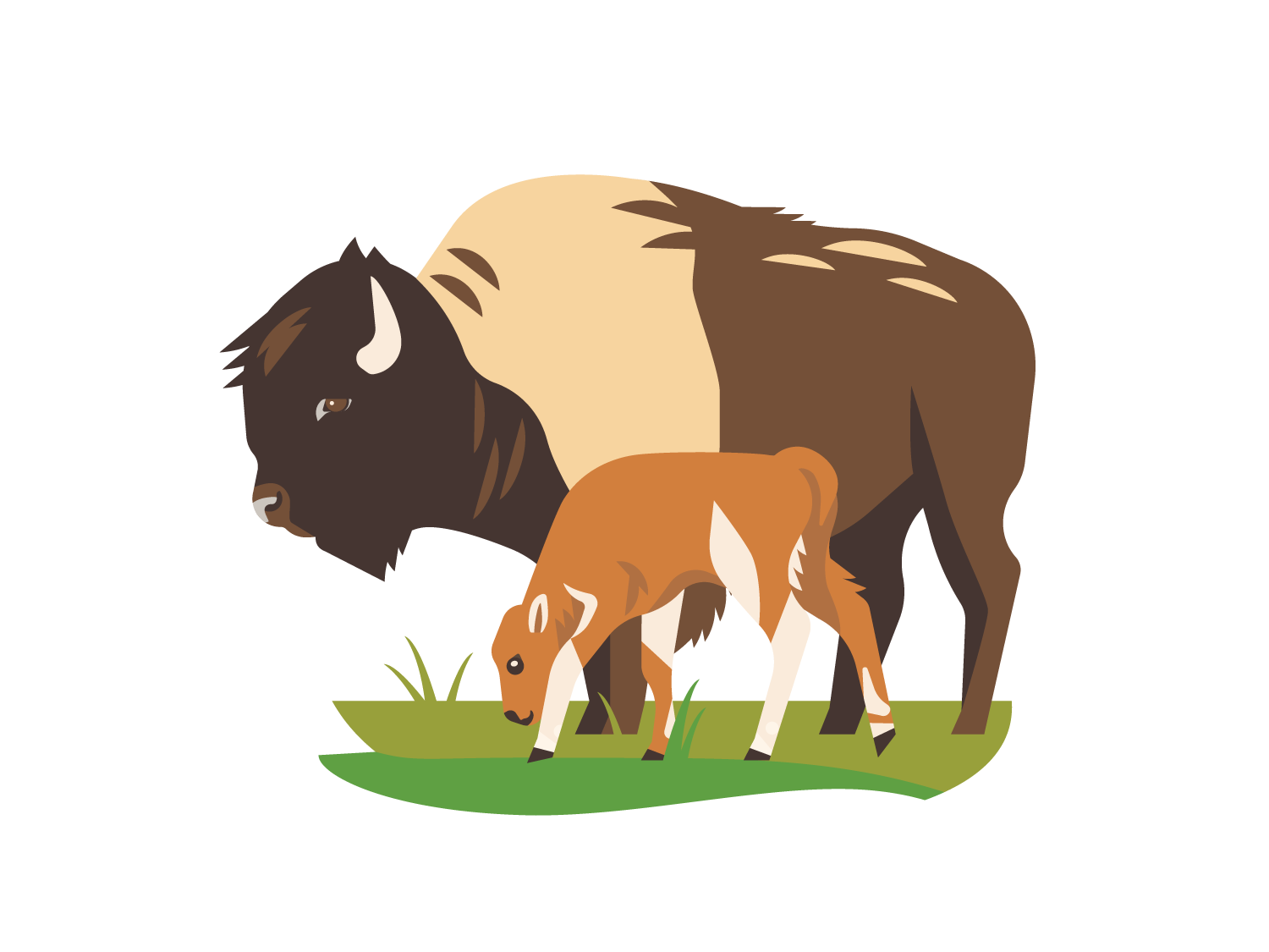 LaurenBeltramo_CitizenScienceIcons_Bison.png