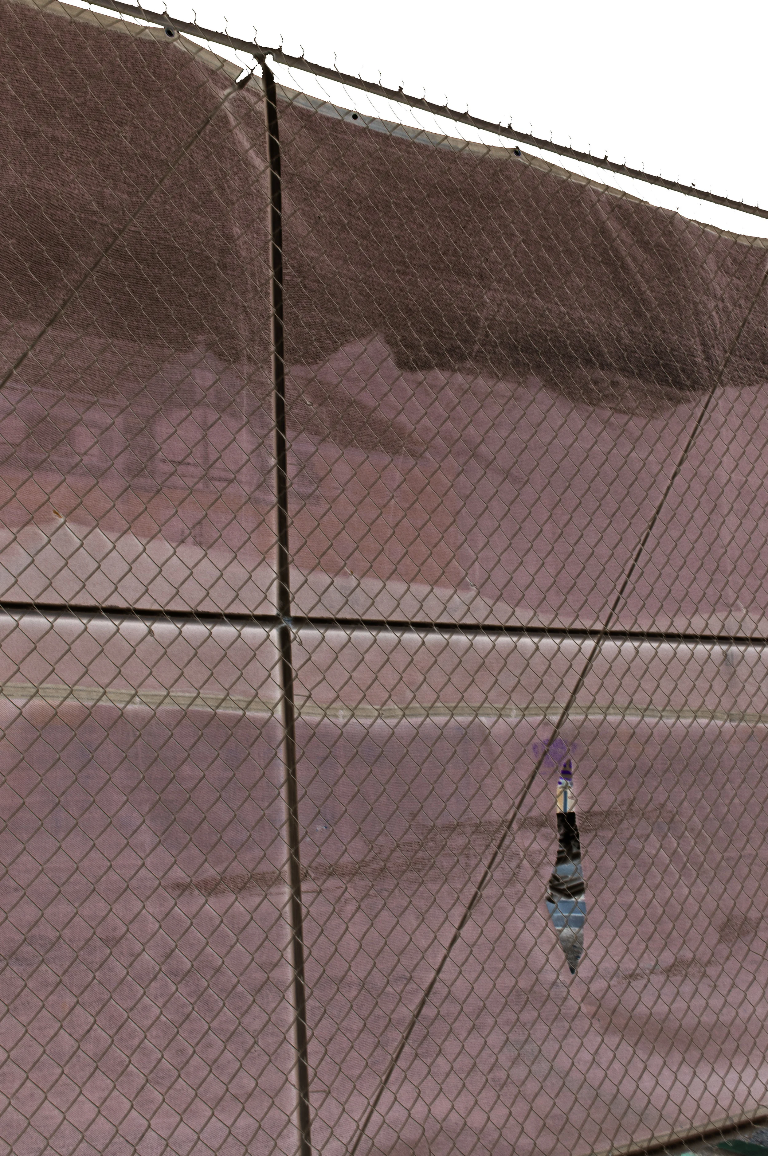 White Site6.jpg