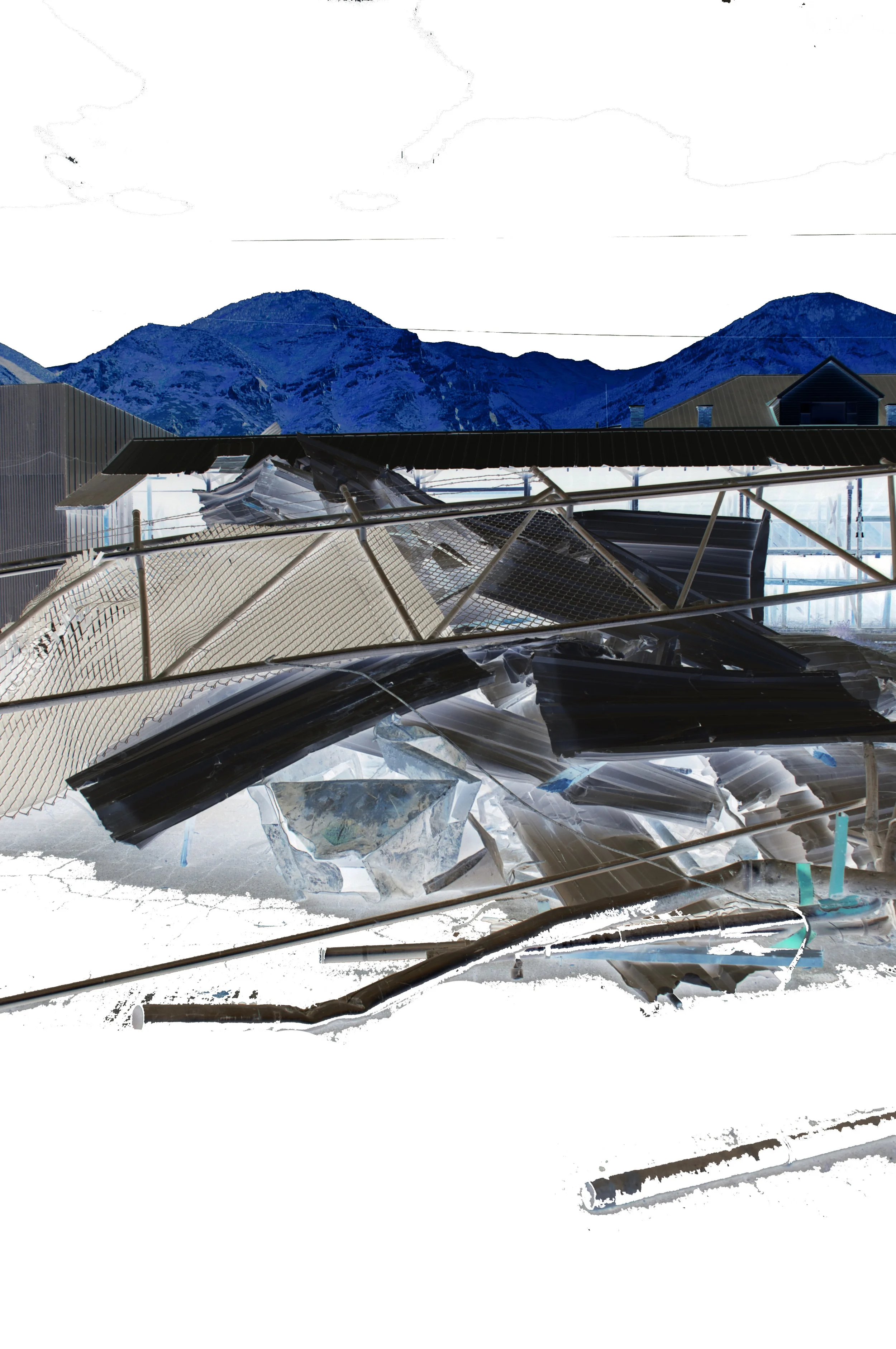 White Site29.jpg