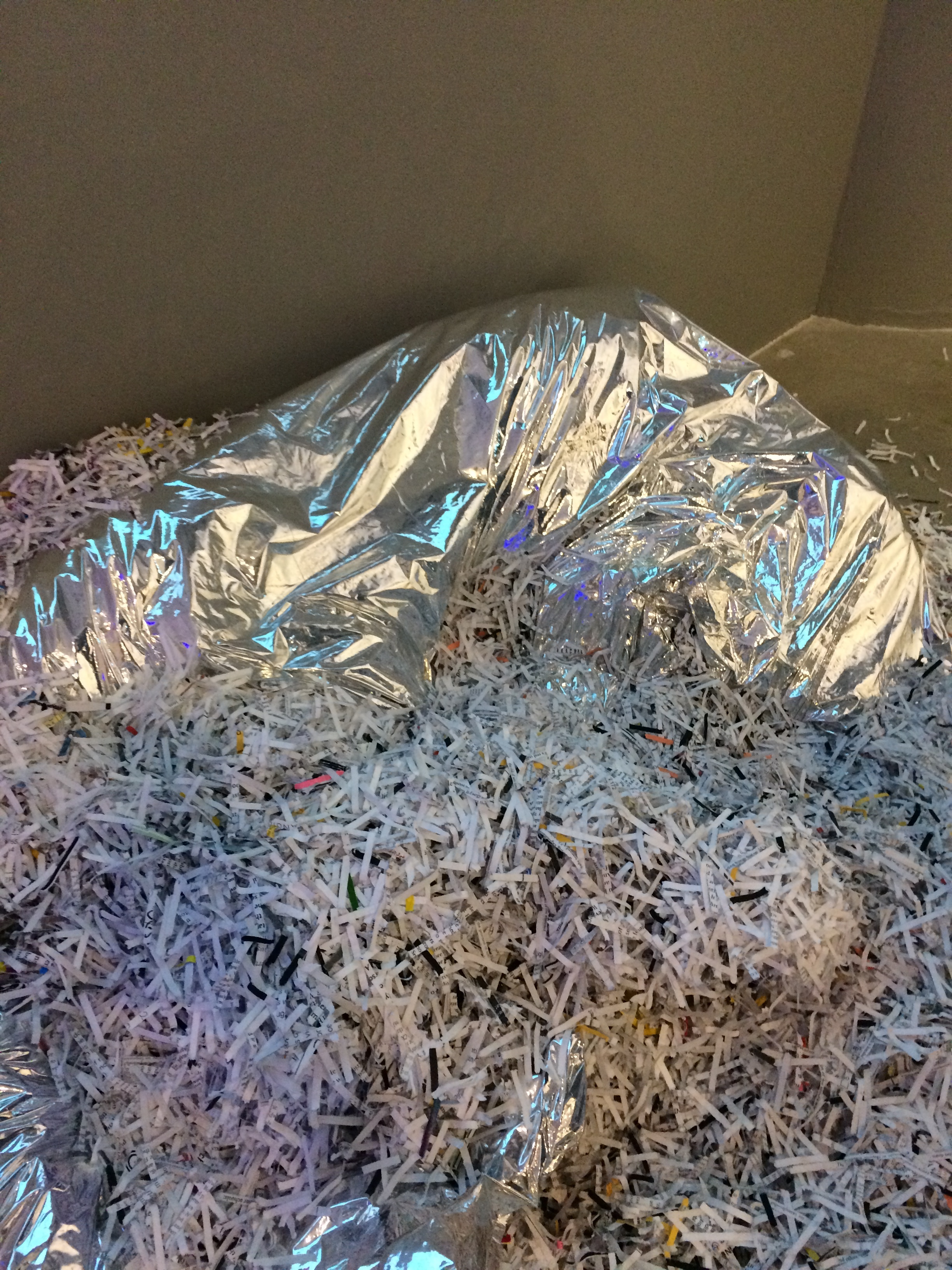 SAIC_Shred the Cloud Performance33.JPG