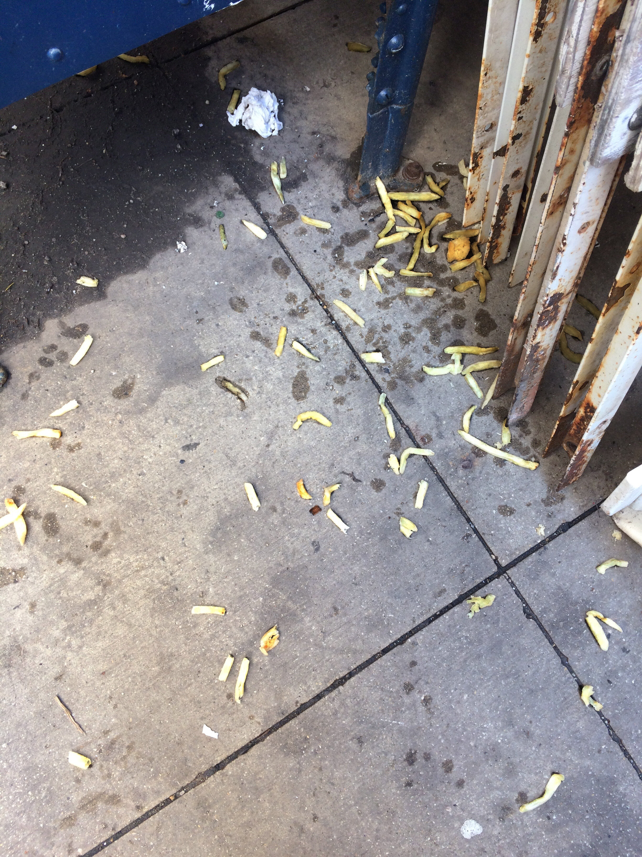 Worm_Fries.jpg