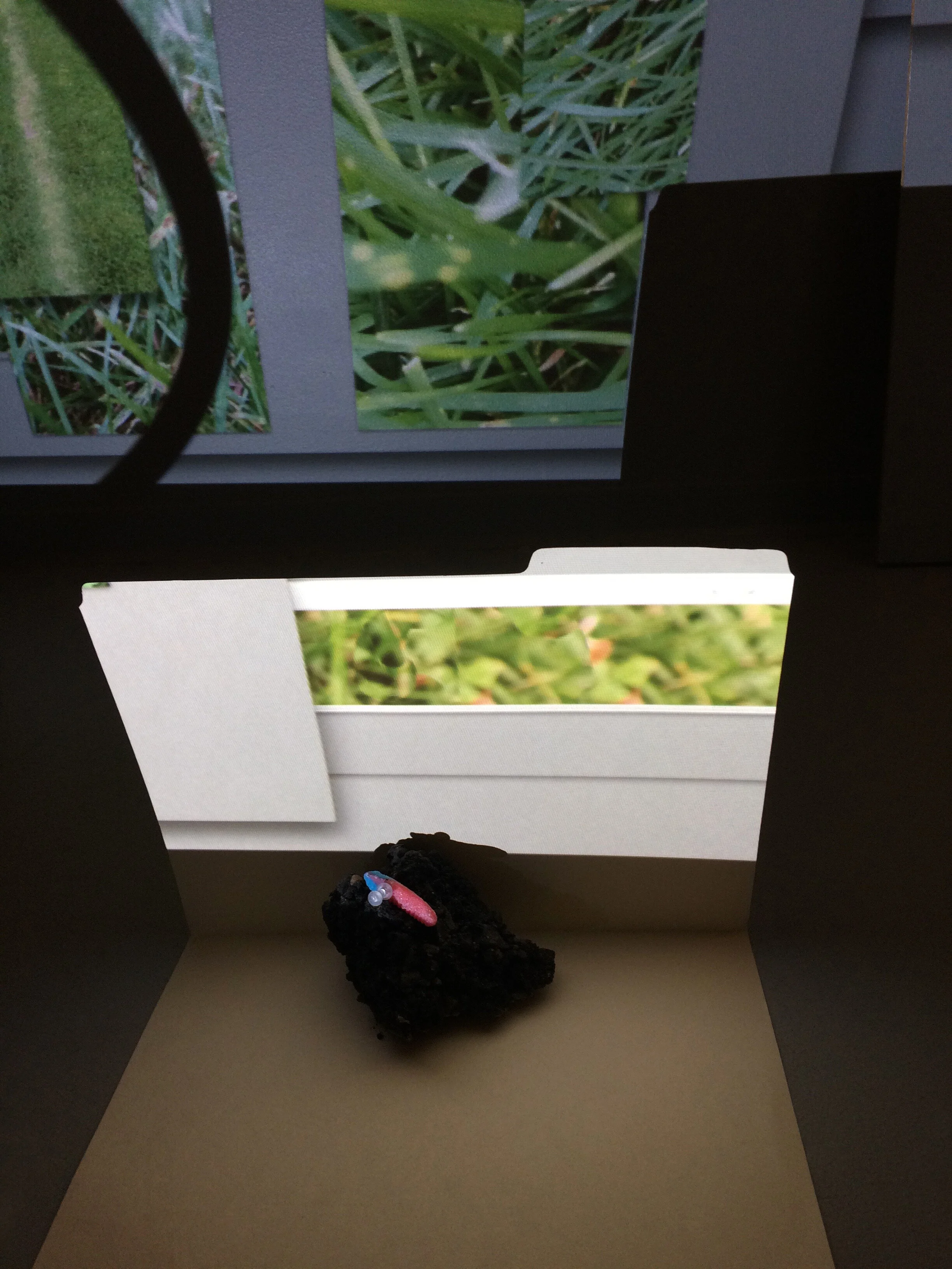Grass Installaion Experiment_2.jpg