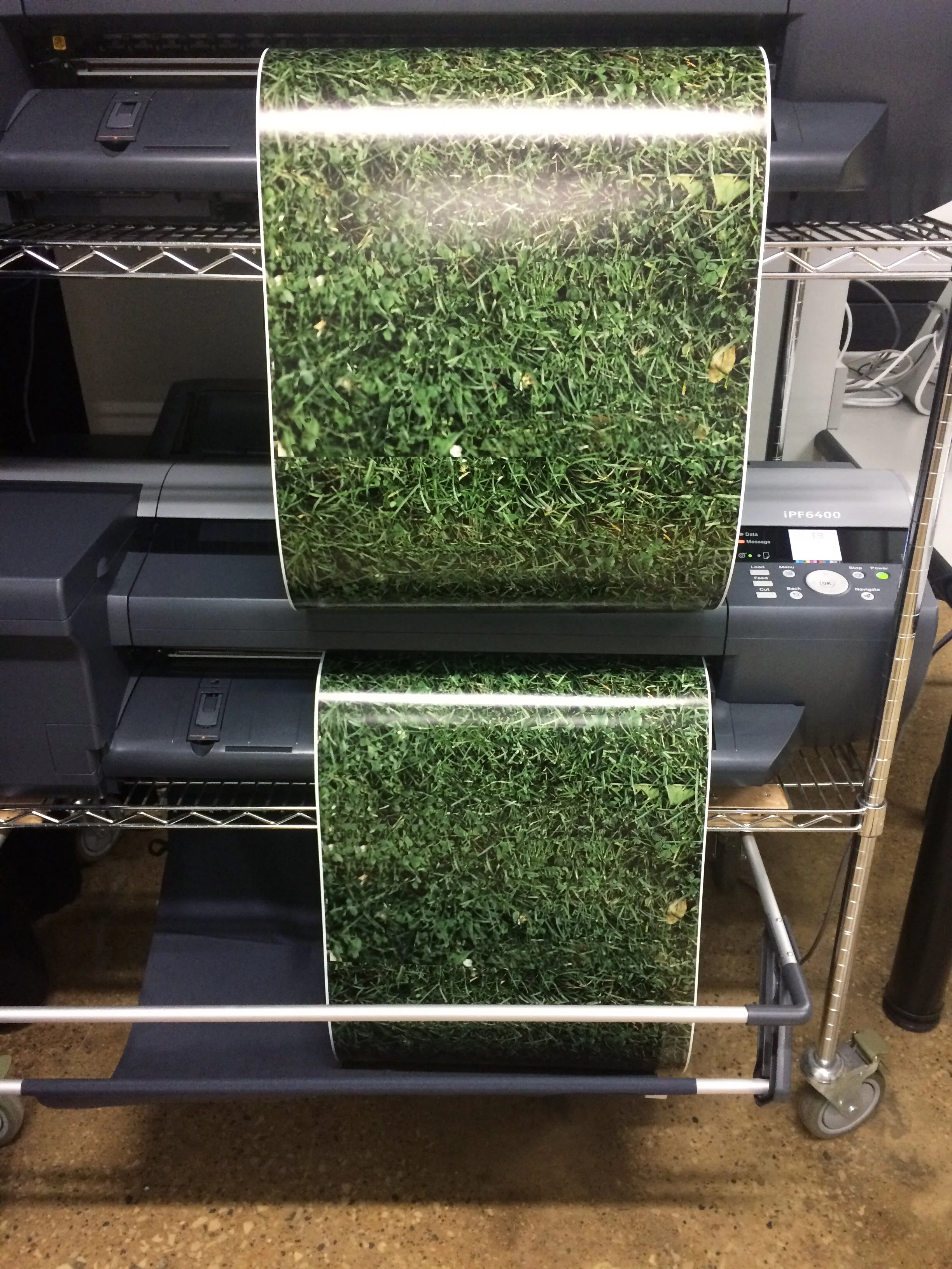 Grass Printing.jpg
