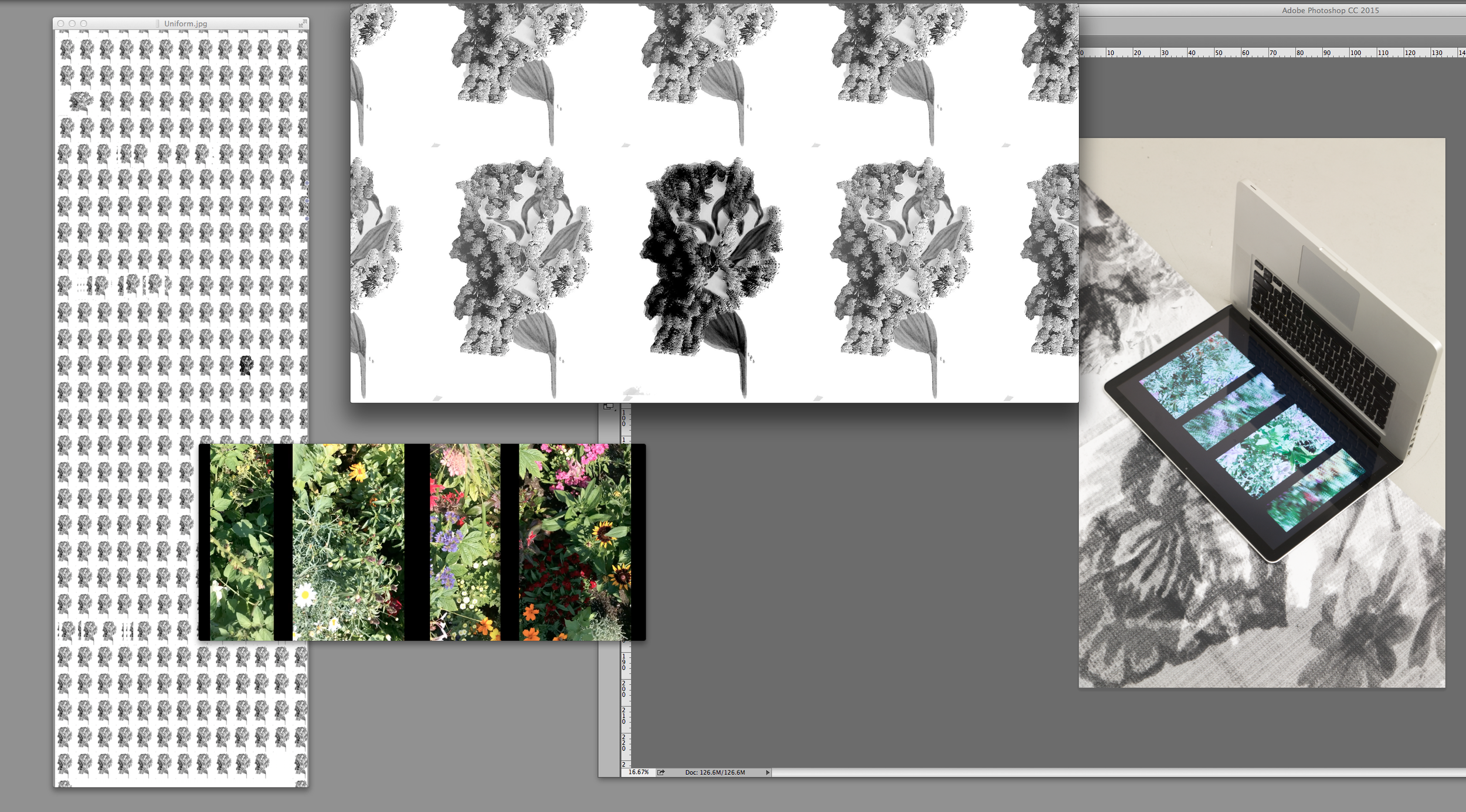 Flower Desktop Compilations_screenshot_1.png