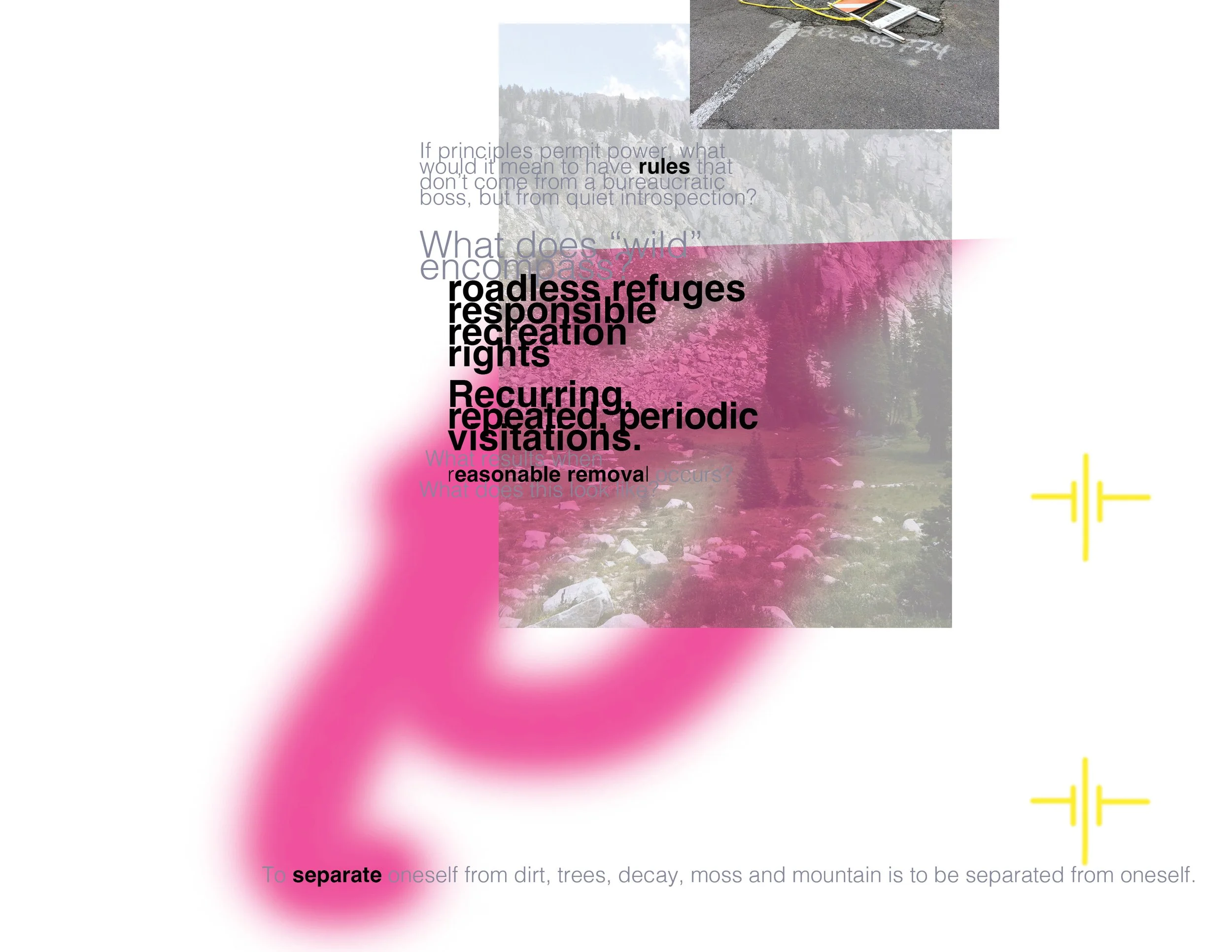 Wilderness Alphabet Book5.jpg