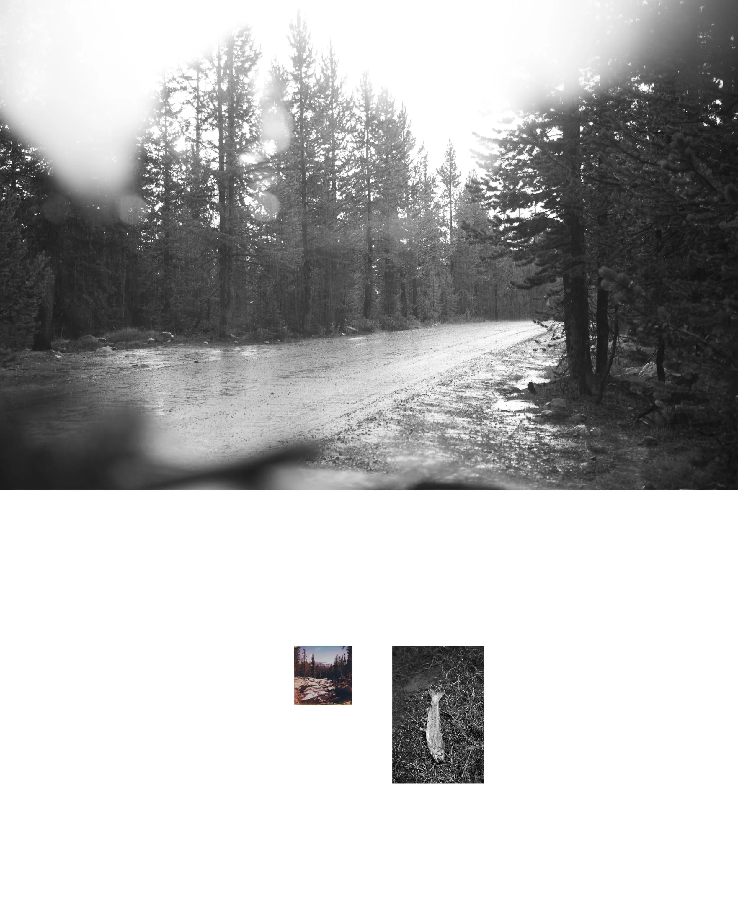 grid3.jpg
