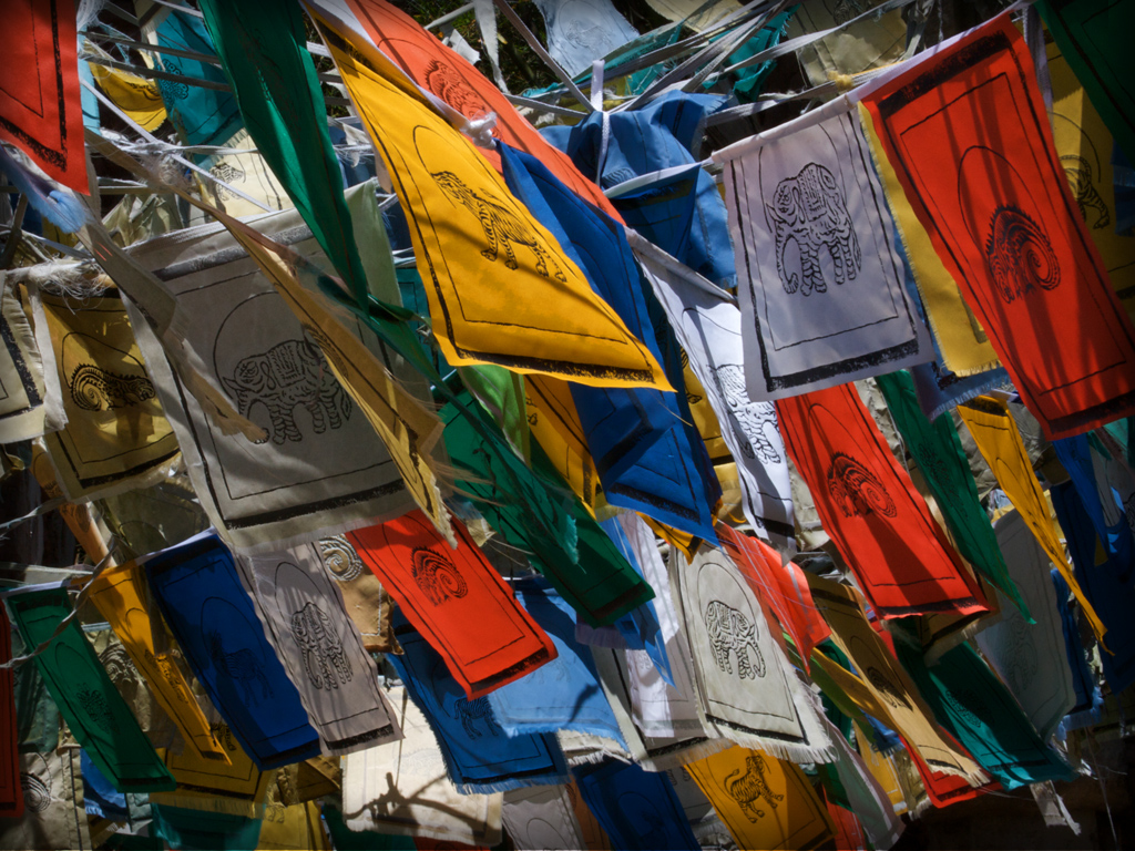 WDW-Enfoucs070210-edit.jpg