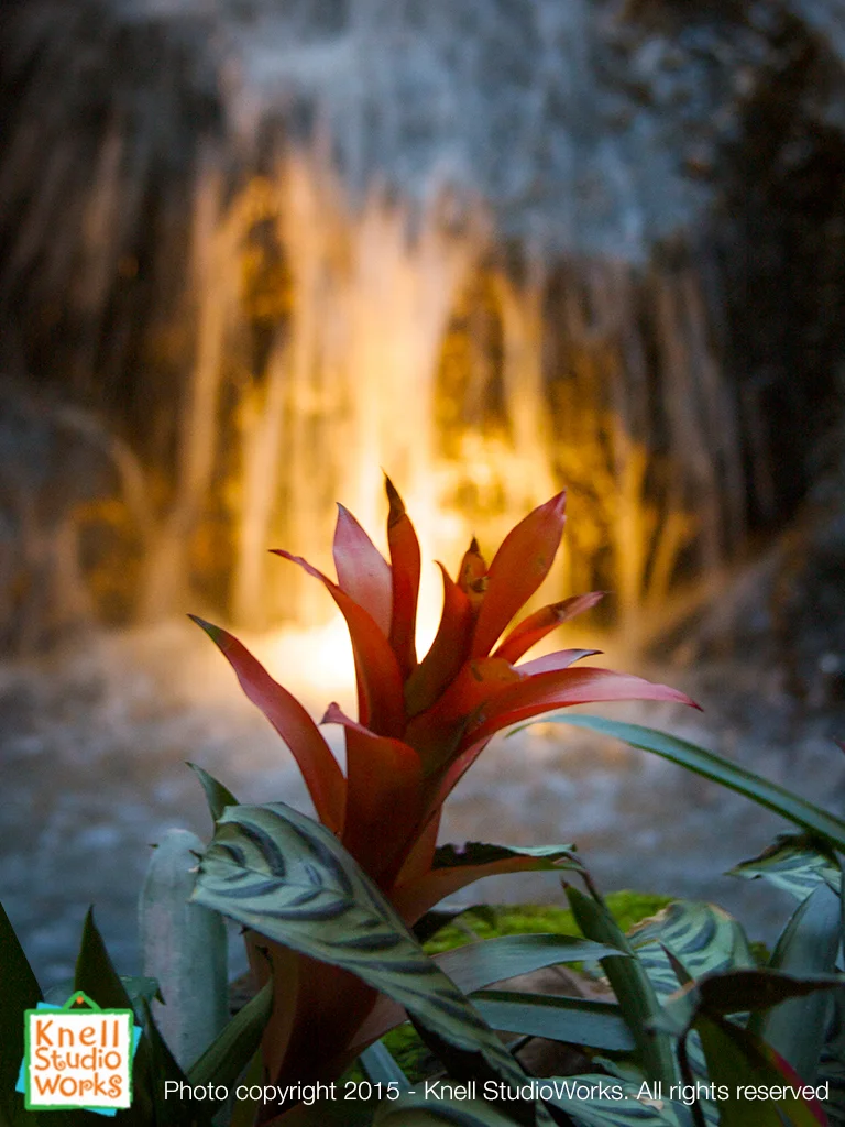Fire Flower