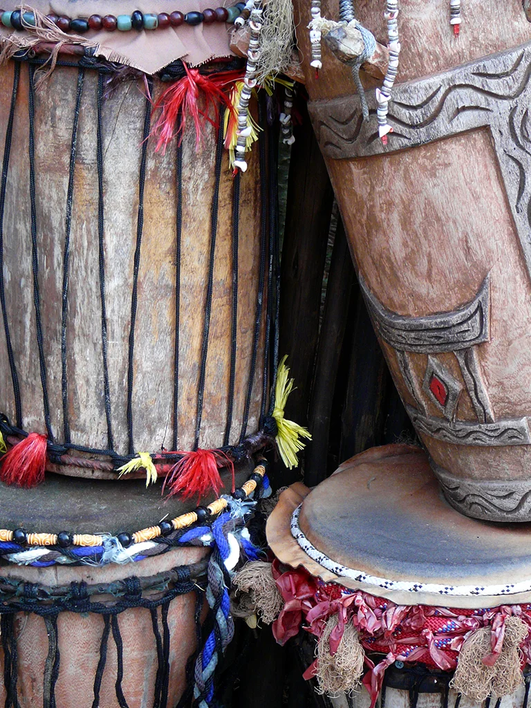 Drums in Animal Kingdom