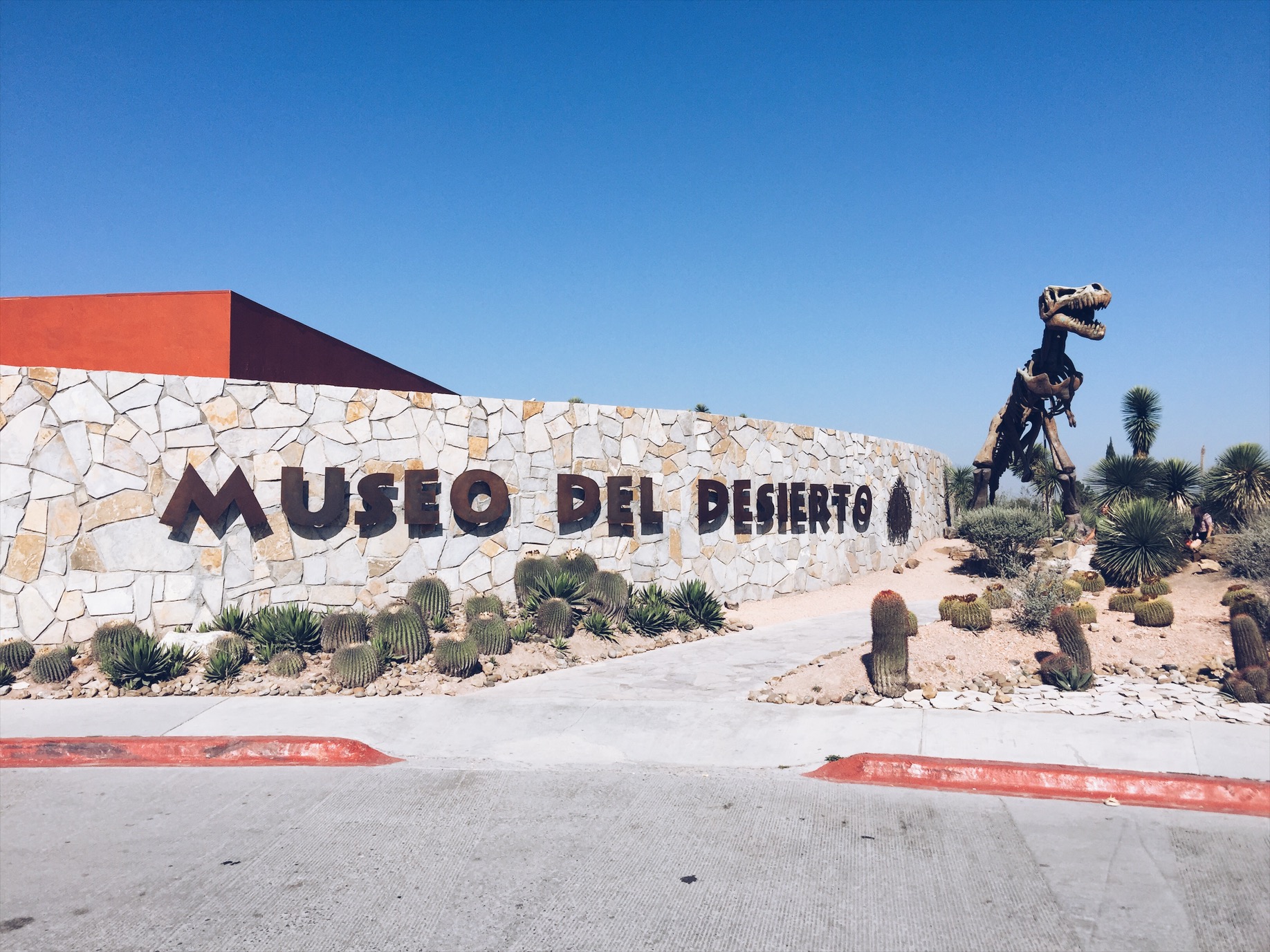 The Museum of the Desert