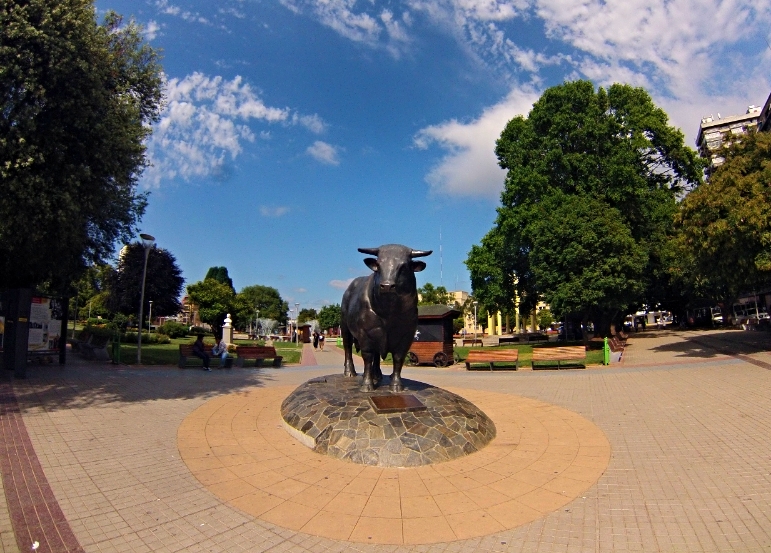  The bull of Osorno. &nbsp;There were signs around the plaza for the annual milk and meat festival, which sounded absolutely divine but unfortunately I was a couple of weeks early : ( 