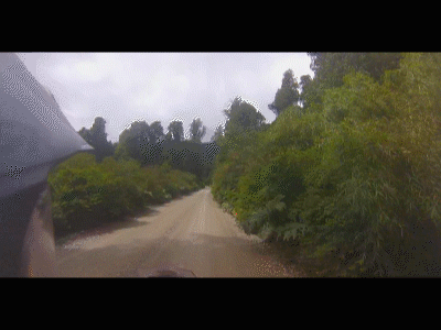 Parque Nacional Queulat