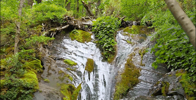 Gif waterfall.gif