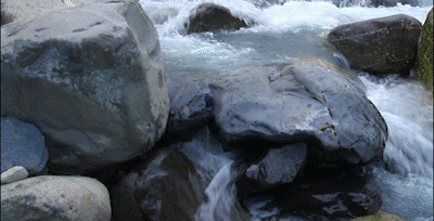 gif rio.gif