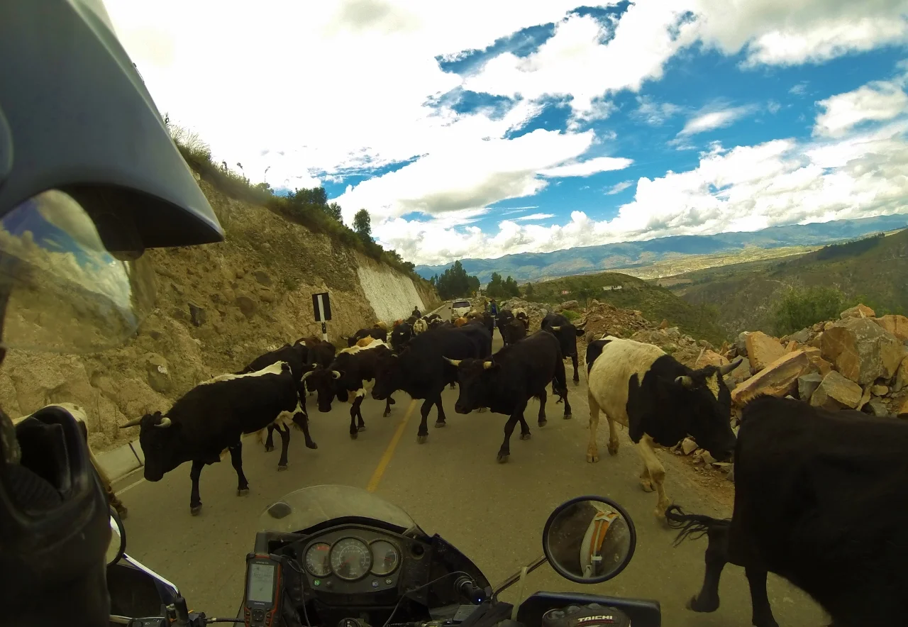 Ayacucho welcome wagon